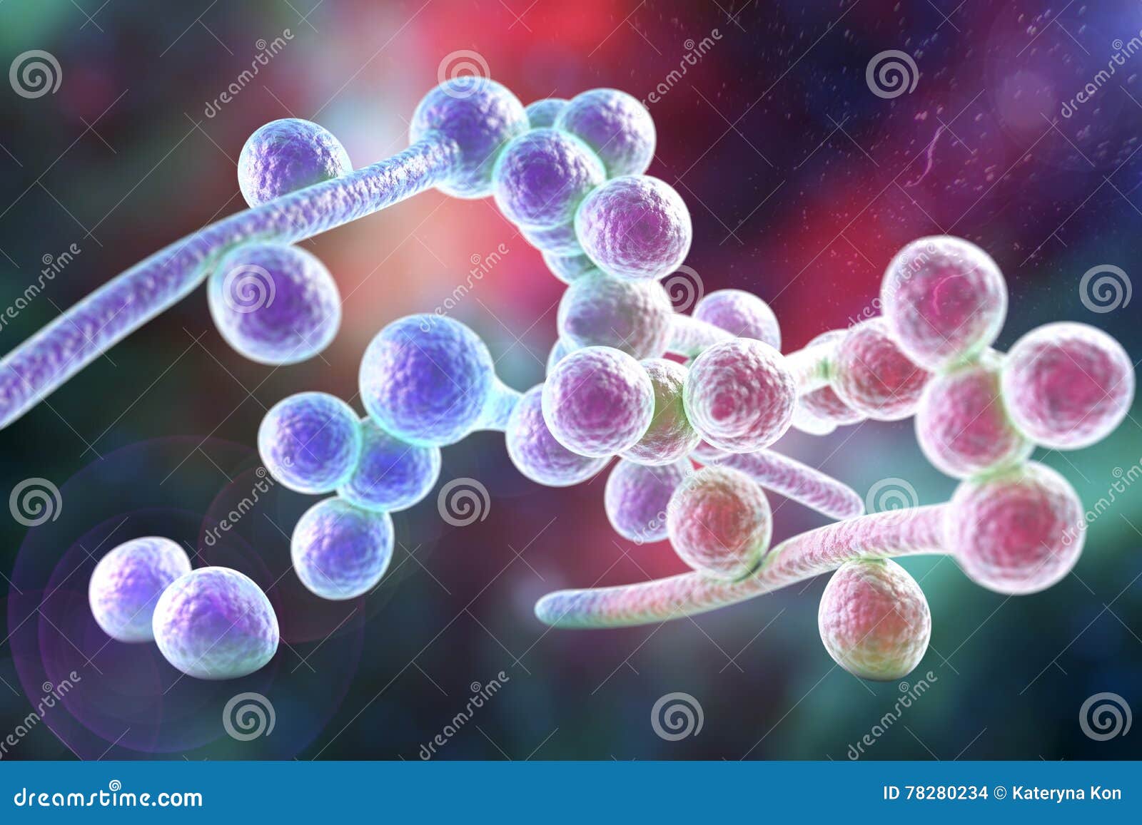 Fungi Candida Albicans Which Cause Thrush Stock Illustration ...