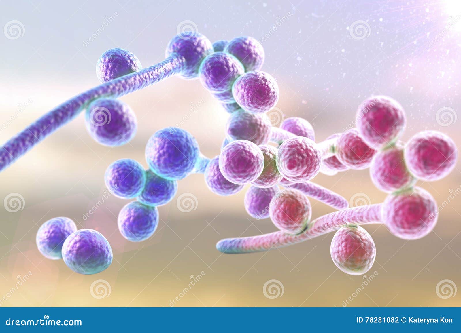 Fungi Candida Albicans Which Cause Thrush Stock Illustration ...
