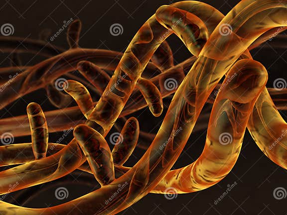 Fungi mycelium stock illustration. Illustration of pathogen - 13440134