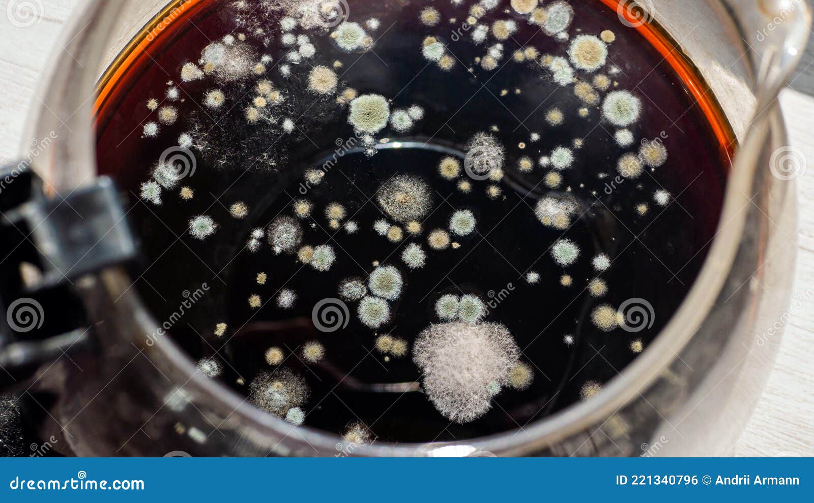 Fungus, Moldy Food, Moldy Coffee Drink Stock Photo Image of bacteria
