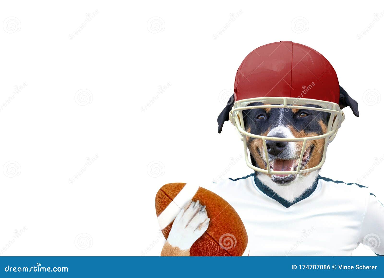 676 American Football Funny Stock Photos - Free & Royalty-Free Stock Photos  from Dreamstime