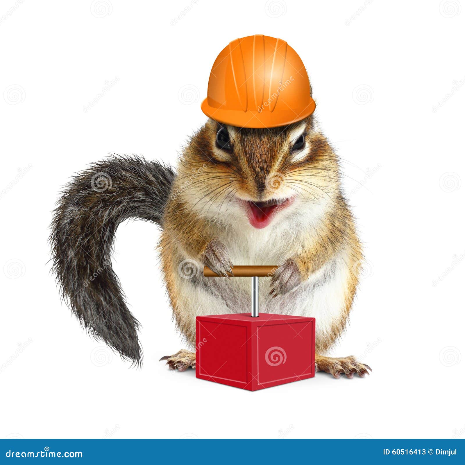 Funny Animal Chipmunk With Detonator And Hard Hat, Demolition Co Stock Photo - Image ...