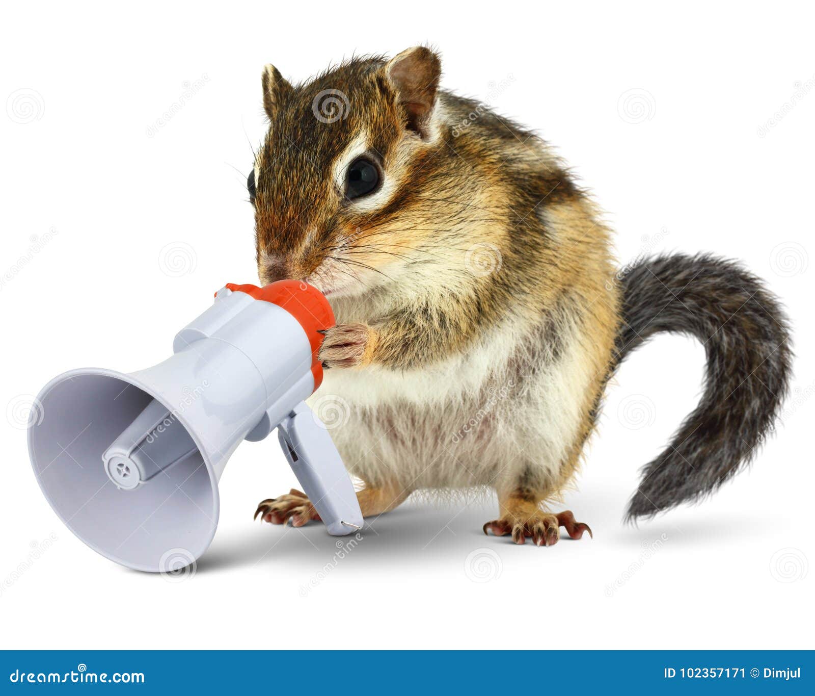 funny animal chipmunk talking into megaphone