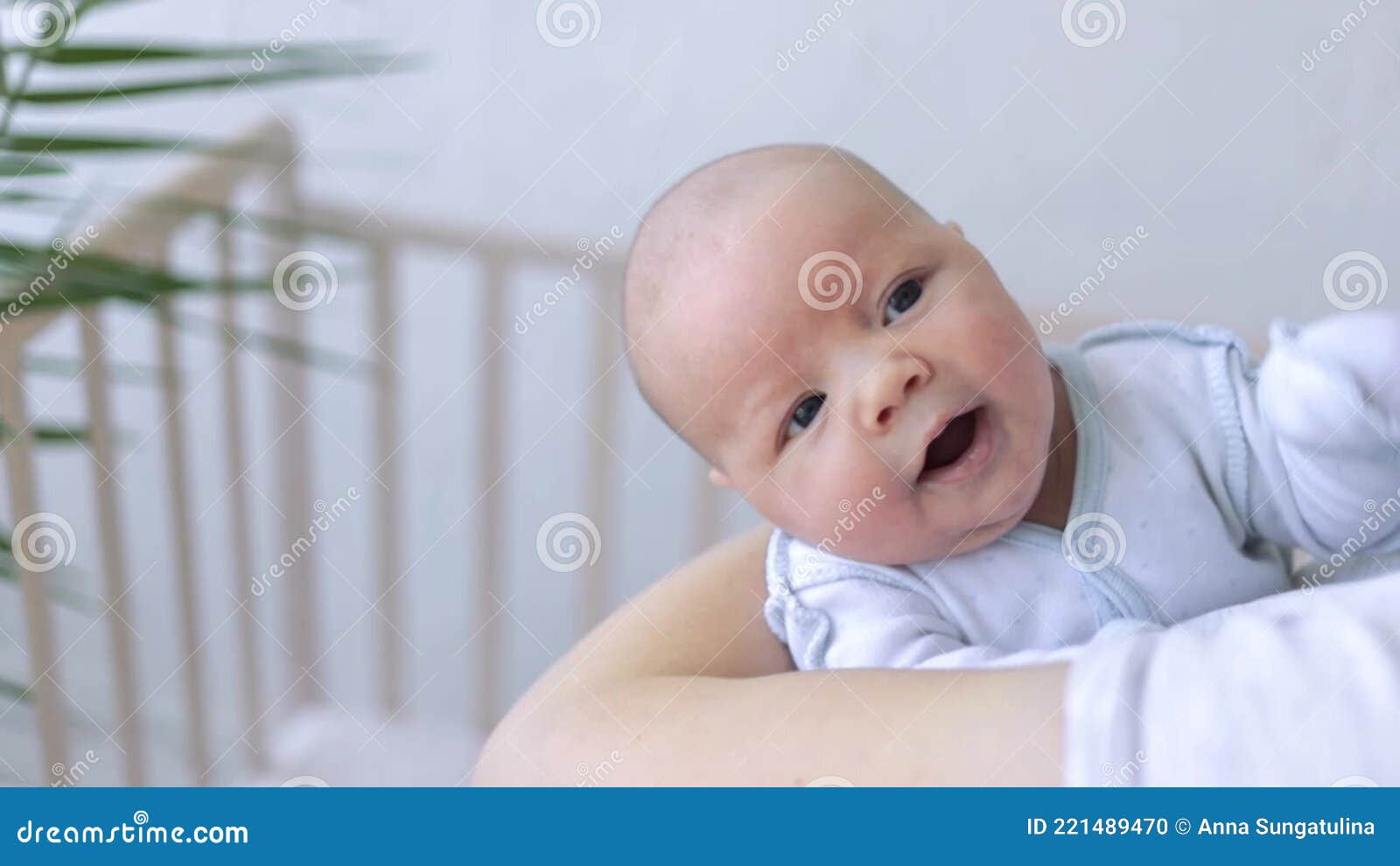 Funny Baby Newborn Baby Boy in Mom S Arms Opens His Mouth in Search of a Nipple or Breast, Asking for Food Stock Footage - Video of open, hands: 221489470 Funny Baby Newborn Baby Boy in Mom S Arms Opens His Mouth in Search of a Nipple or Breast, Asking for Food Stock Footage - Video of open, hands: 221489470