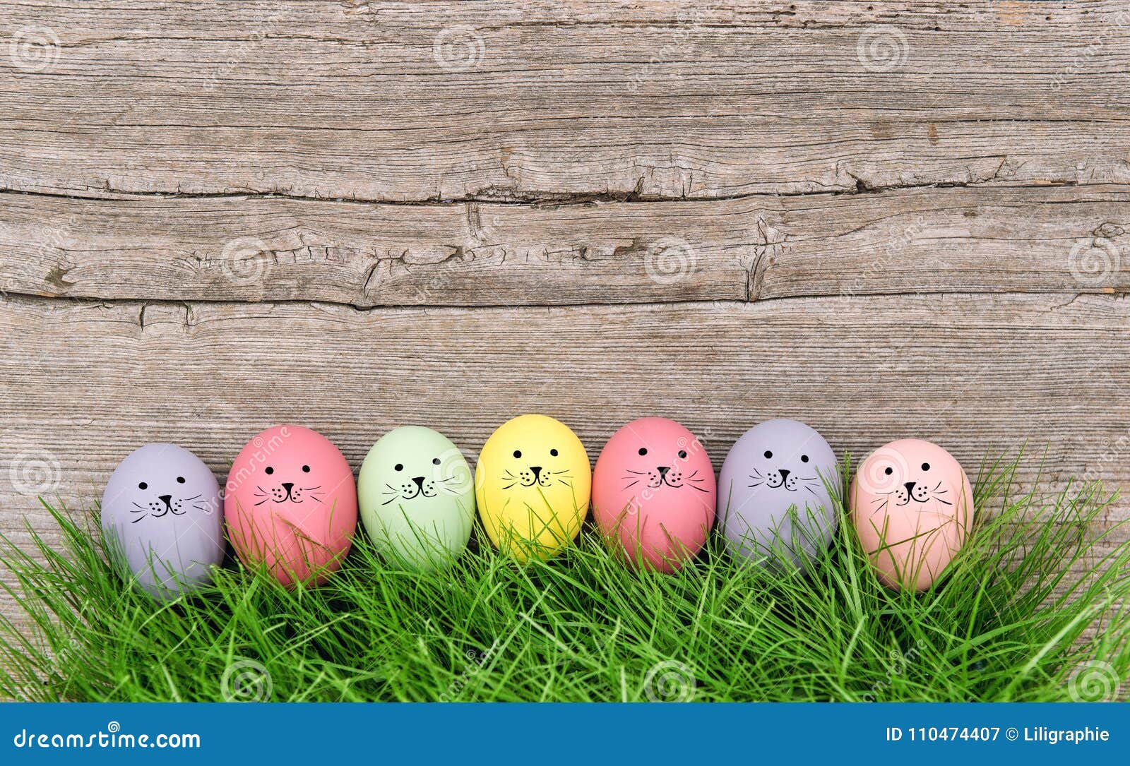 funny bannies easter eggs green grass wooden background