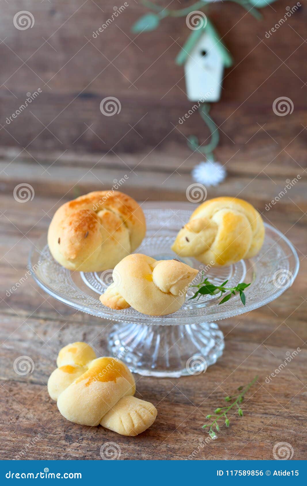 Bird bread rolls stock photo. Image of yeast, easter - 117589856