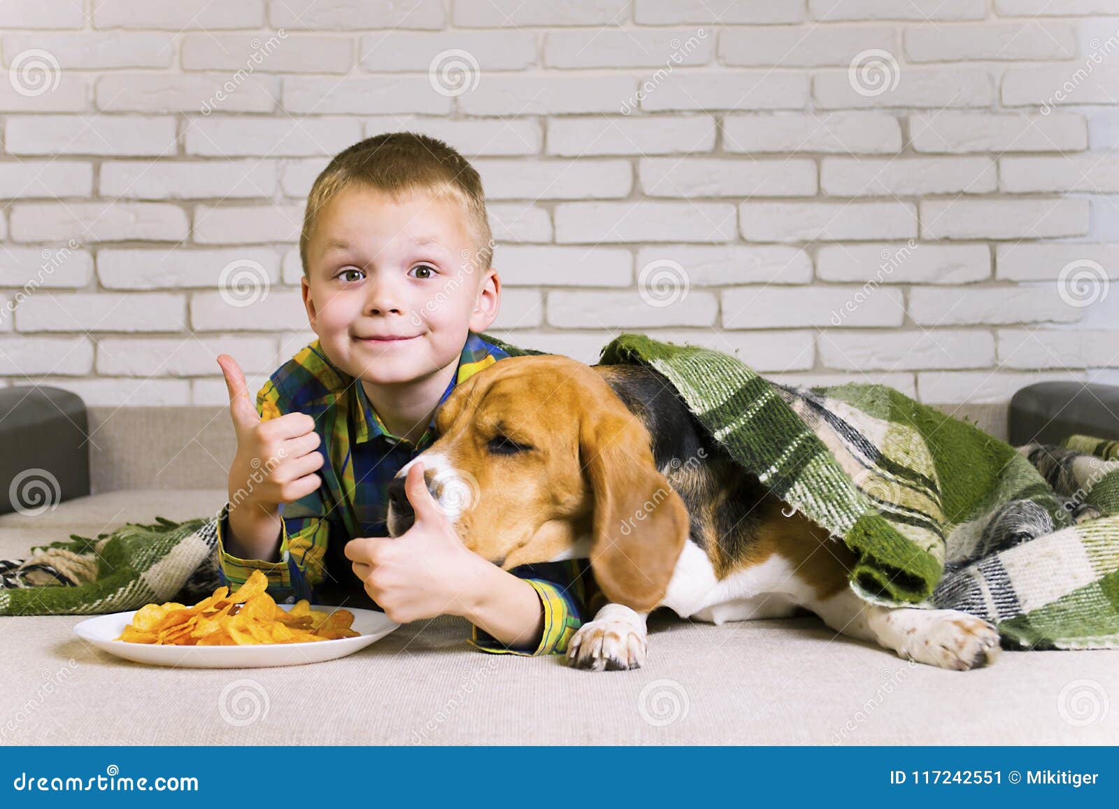 Funny Boy and Dog Beagle Eating Chips Stock Image Image of potato