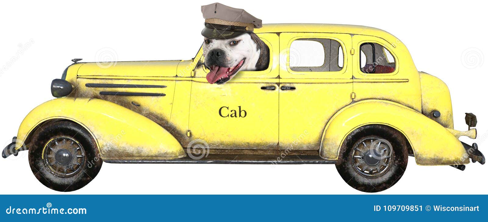 funny taxi cab dog, , bulldog