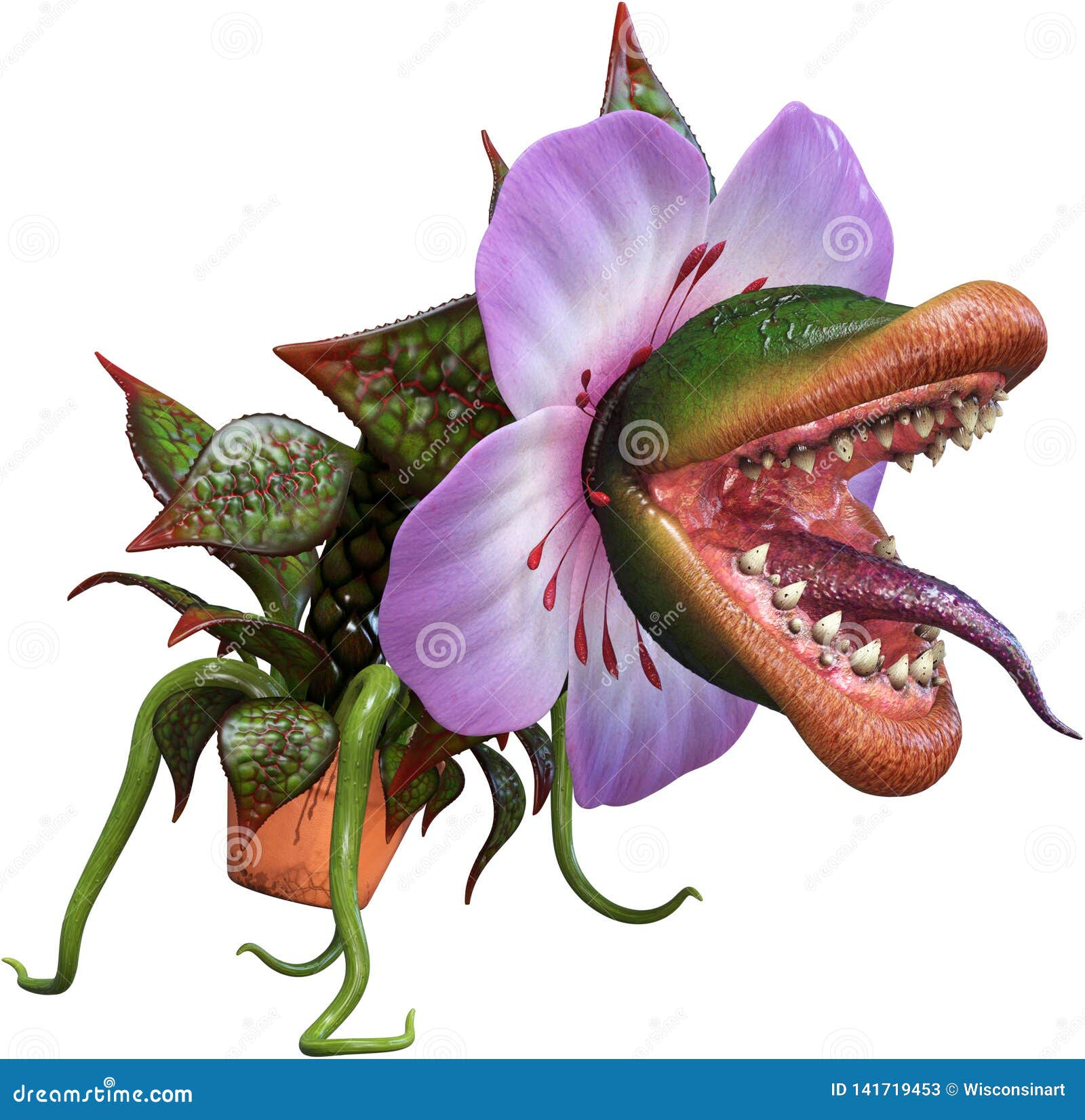 Funny Carnivous Plant, Flower, Isolated Stock Image - Image of plant, carnivorous: 141719453 Funny Carnivous Plant, Flower, Isolated Stock Image - Image of plant, carnivorous: 141719453