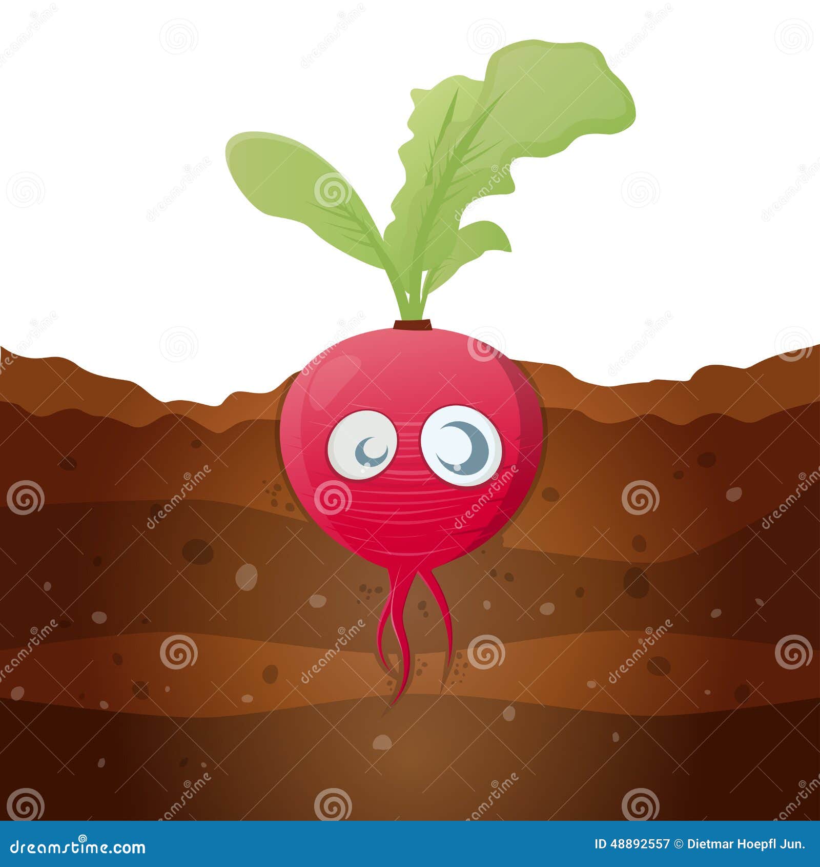 Funny cartoon radish stock vector. Illustration of humorous - 48892557