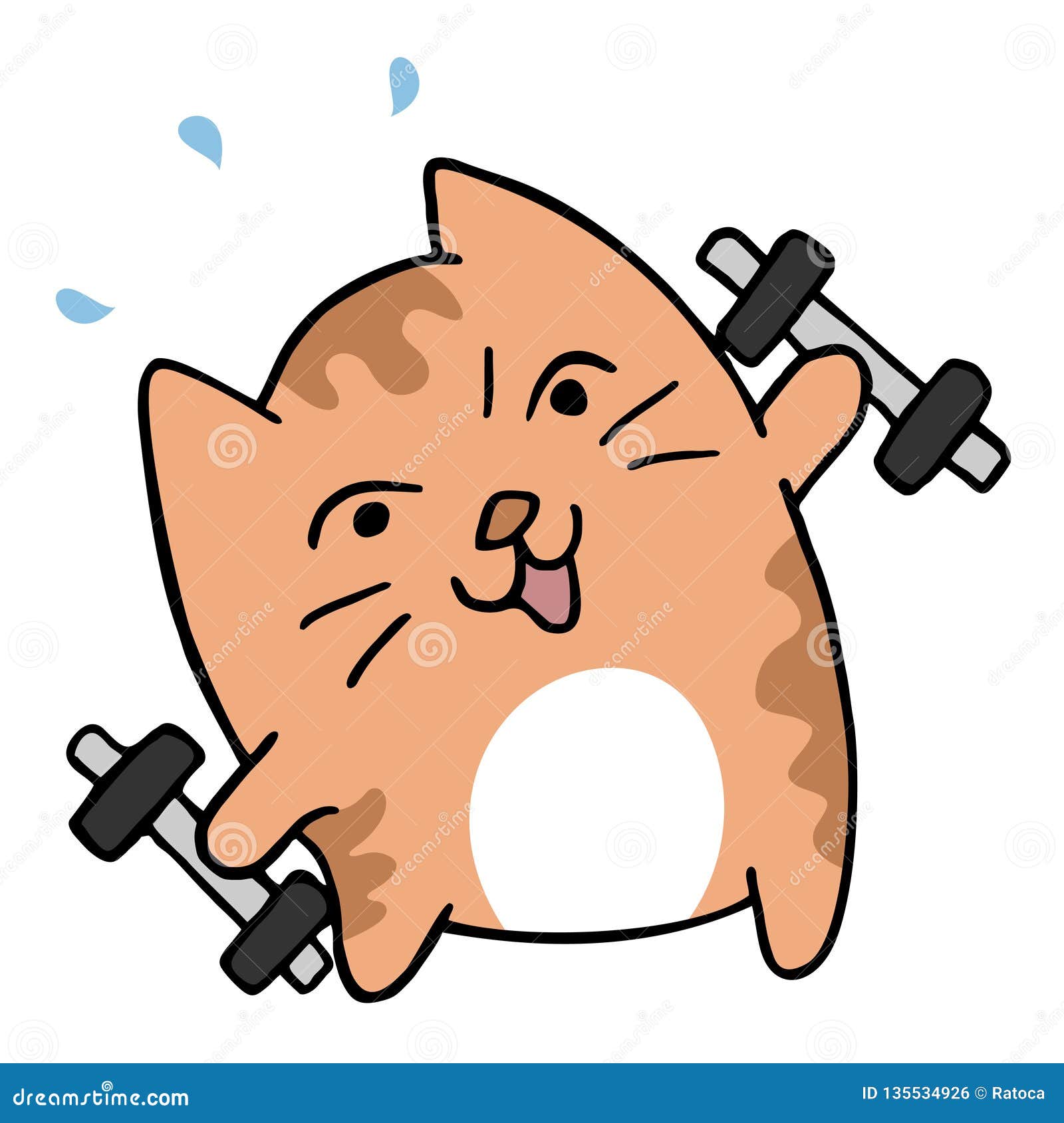 Funny cat training stock vector. Illustration of cartoon - 135534926