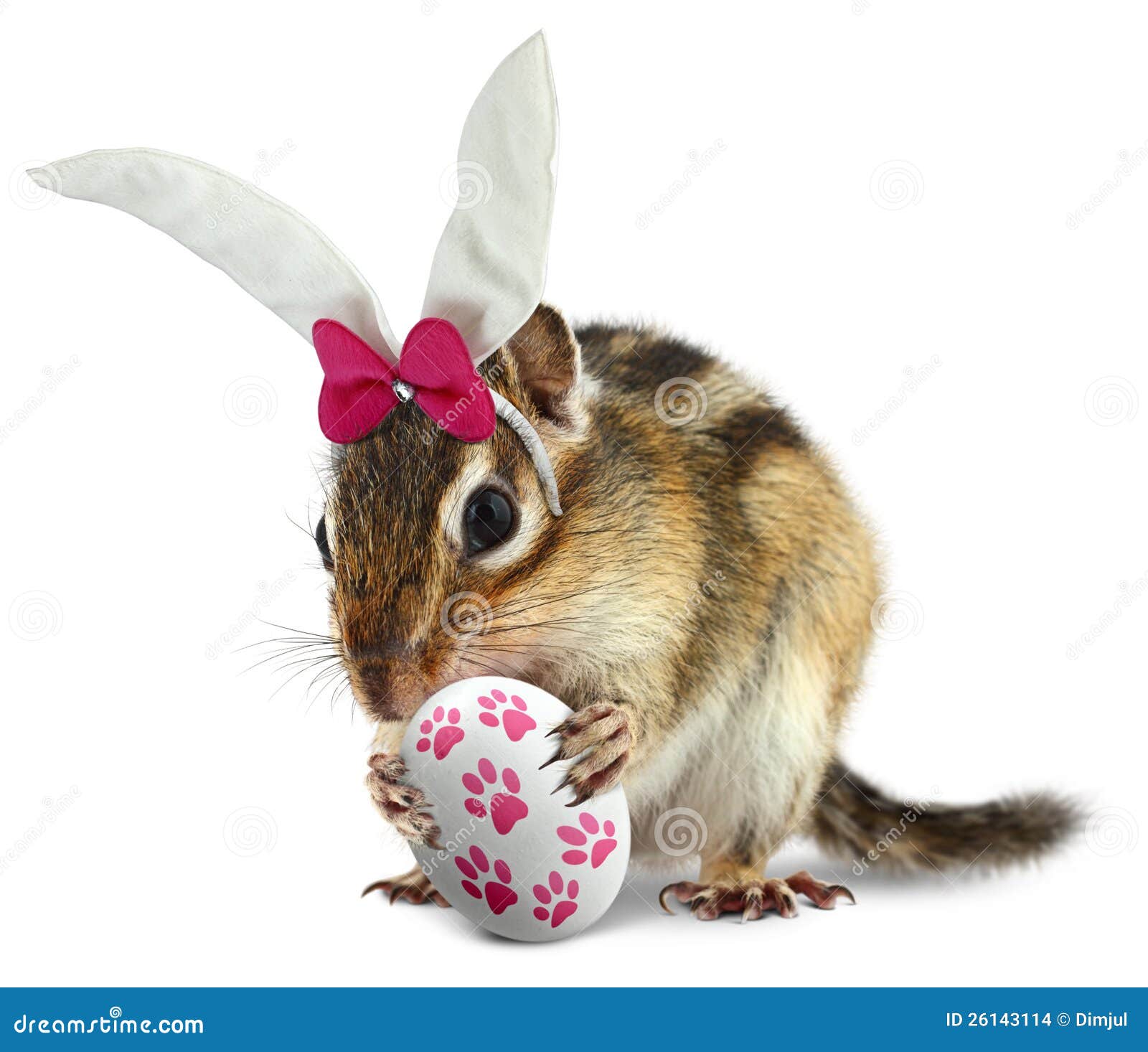 funny chipmunk with bunny ears and easter egg