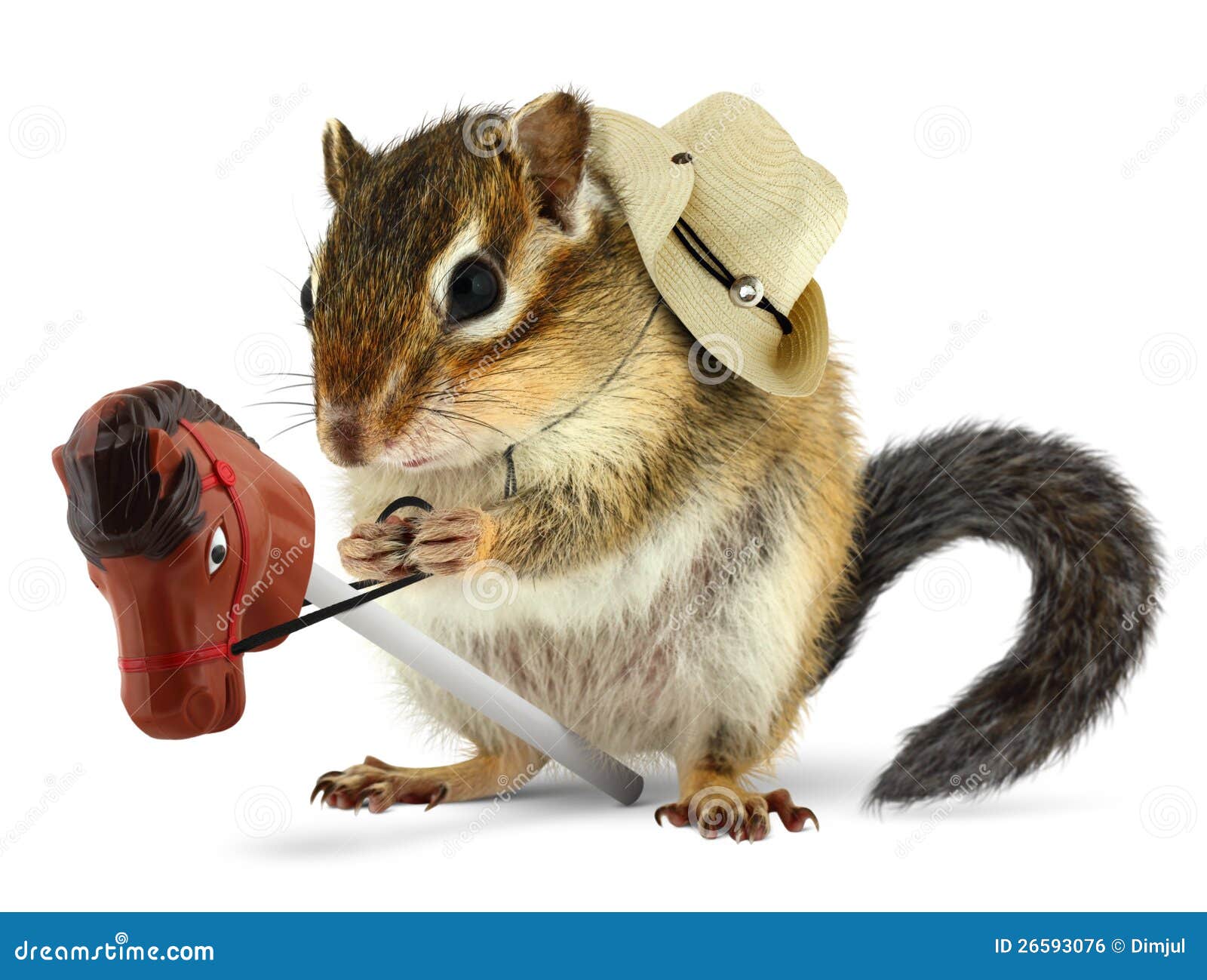funny chipmunk funny chipmunk