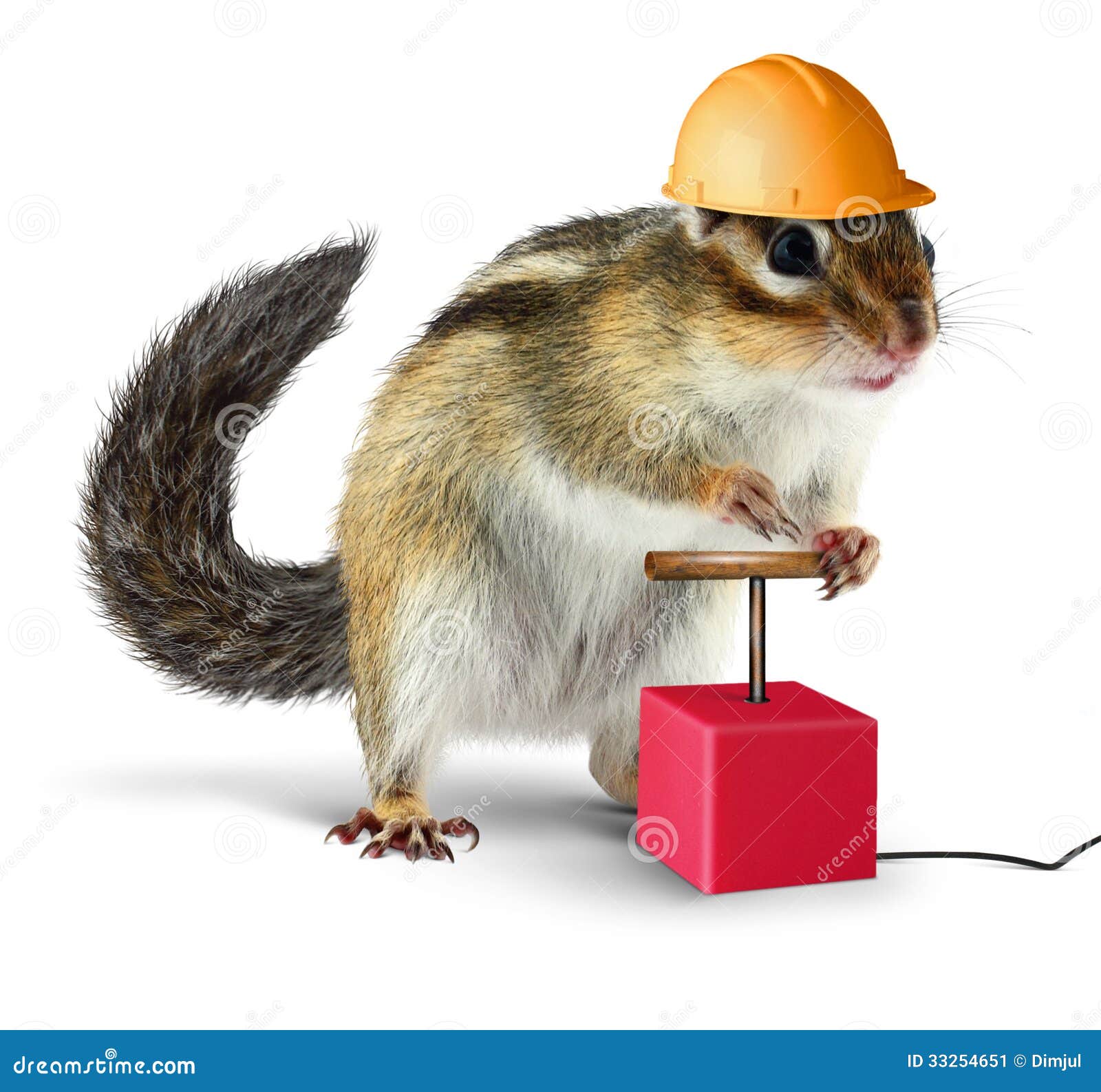 Funny Chipmunk With Detonator Isolated On White Stock Image - Image: 332546511300 x 1305