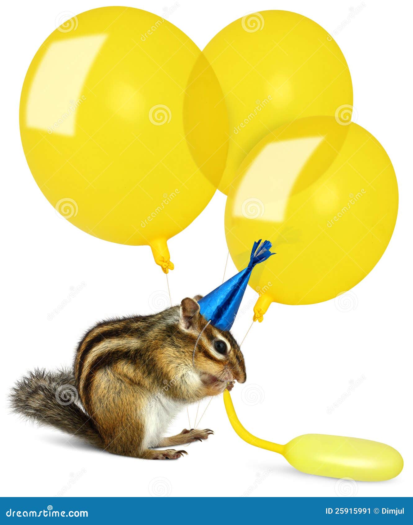 funny chipmunk inflating yellow balloons