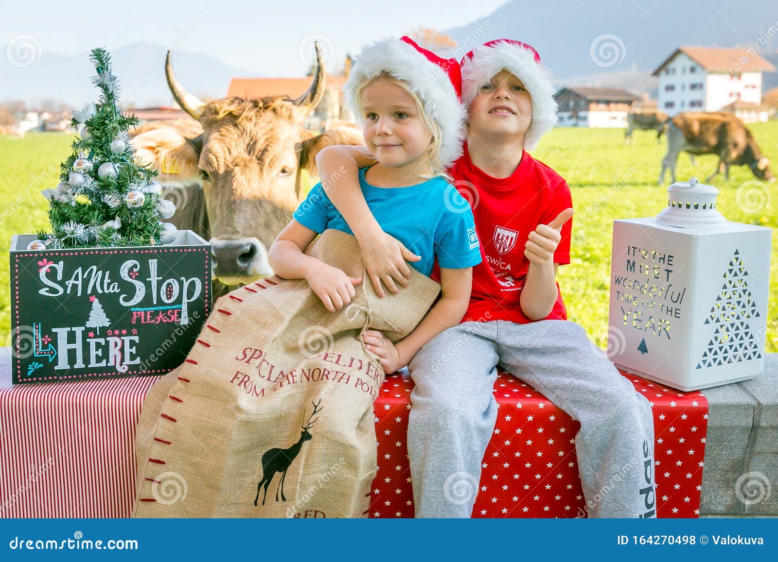 Funny Christmas Pose by Two Children and Cow Stock Photo - Image of posing,  santa: 164270498