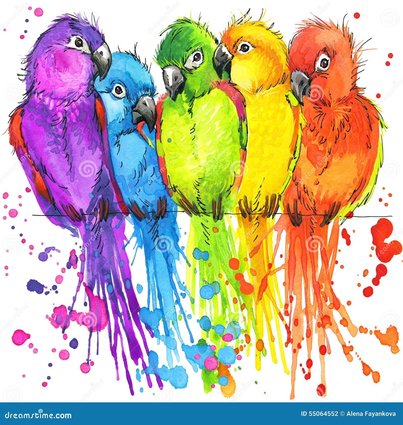 funny colorful parrots with watercolor splash textured