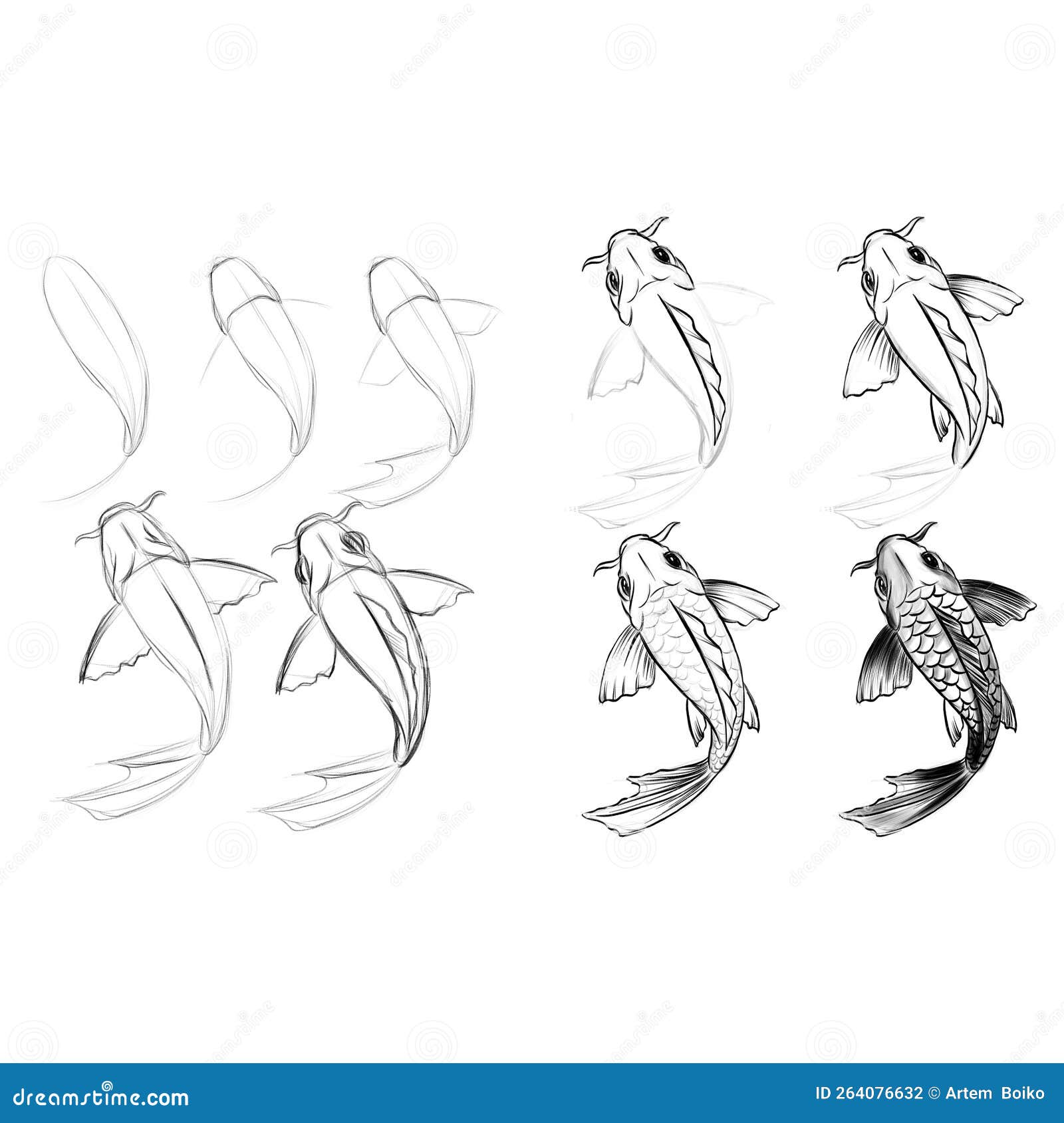 How to Draw a Cute Fish in 9 Easy Cute Fish Drawing Steps