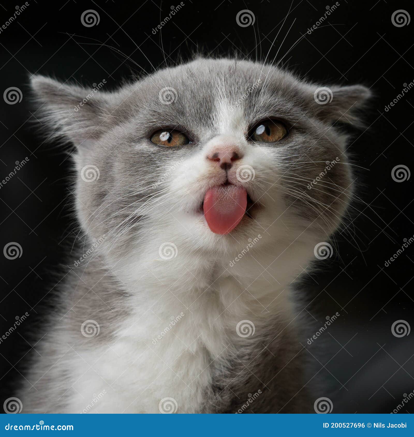My Image 25