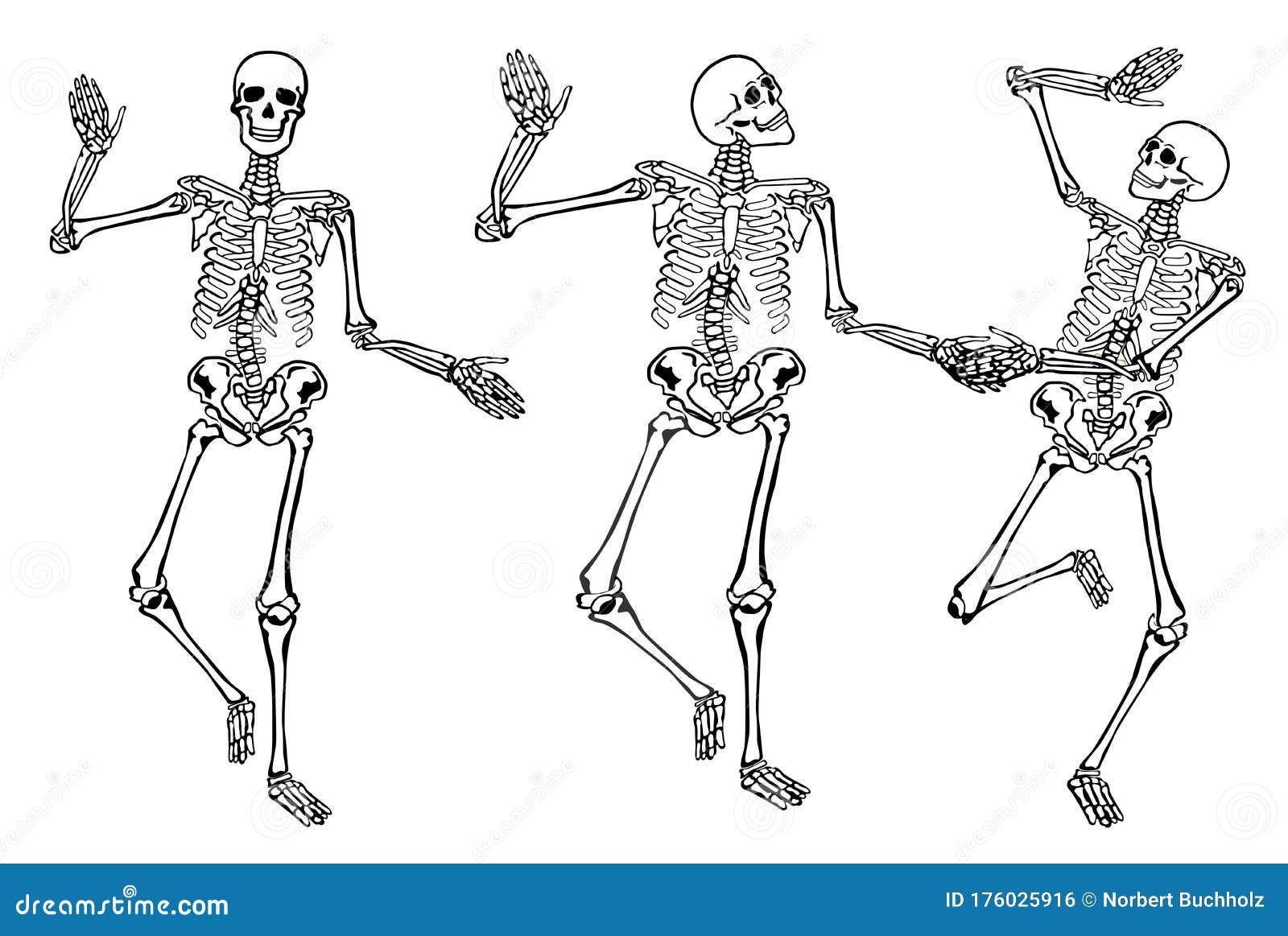 Funny Dancing Skeletons isolated On White Background. 