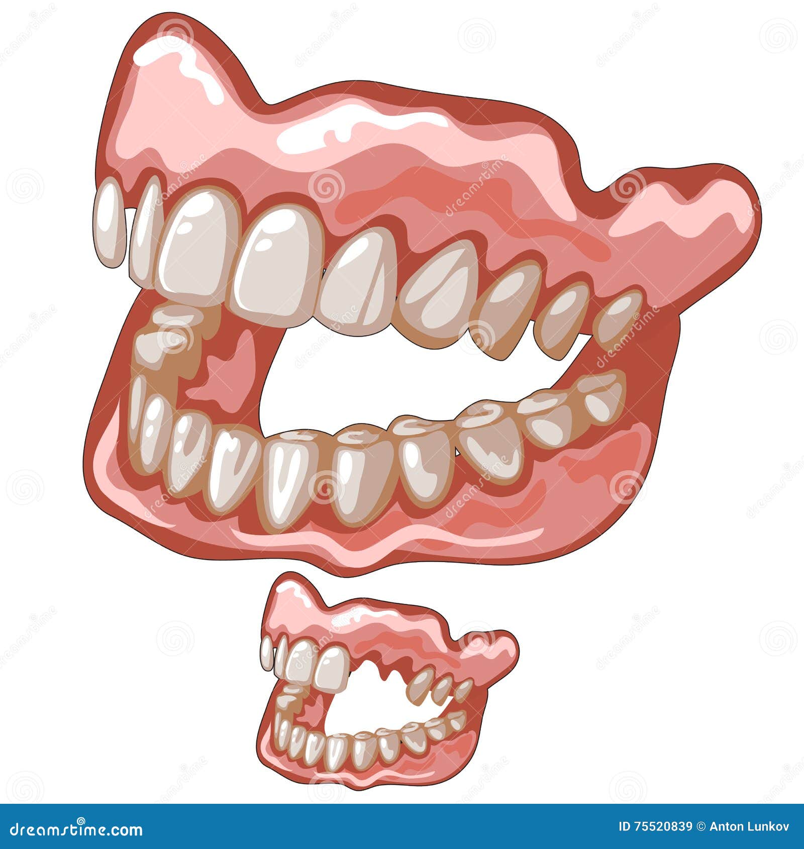 Funny Dentures with White Naturallooking Teeth Stock Vector