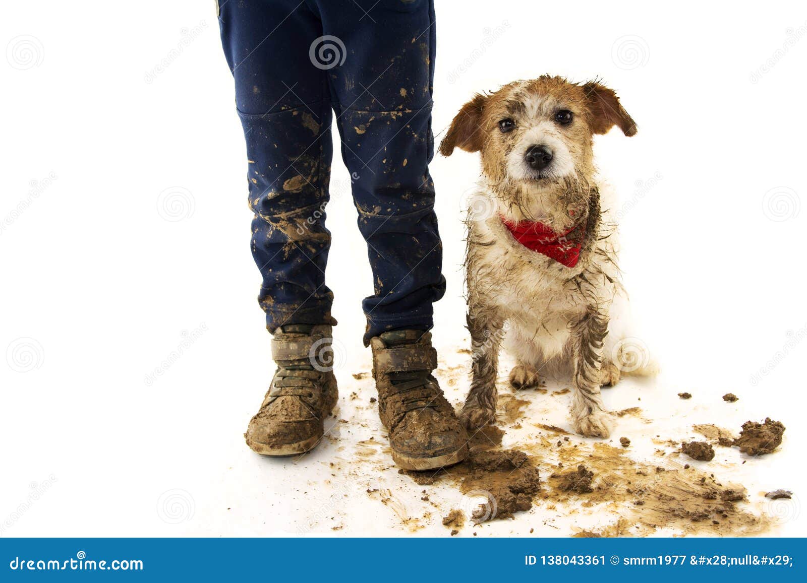 funny dirty dog and child. jack russell dog and boy wearing boots after play in a mud puddle with ashamed expression. 