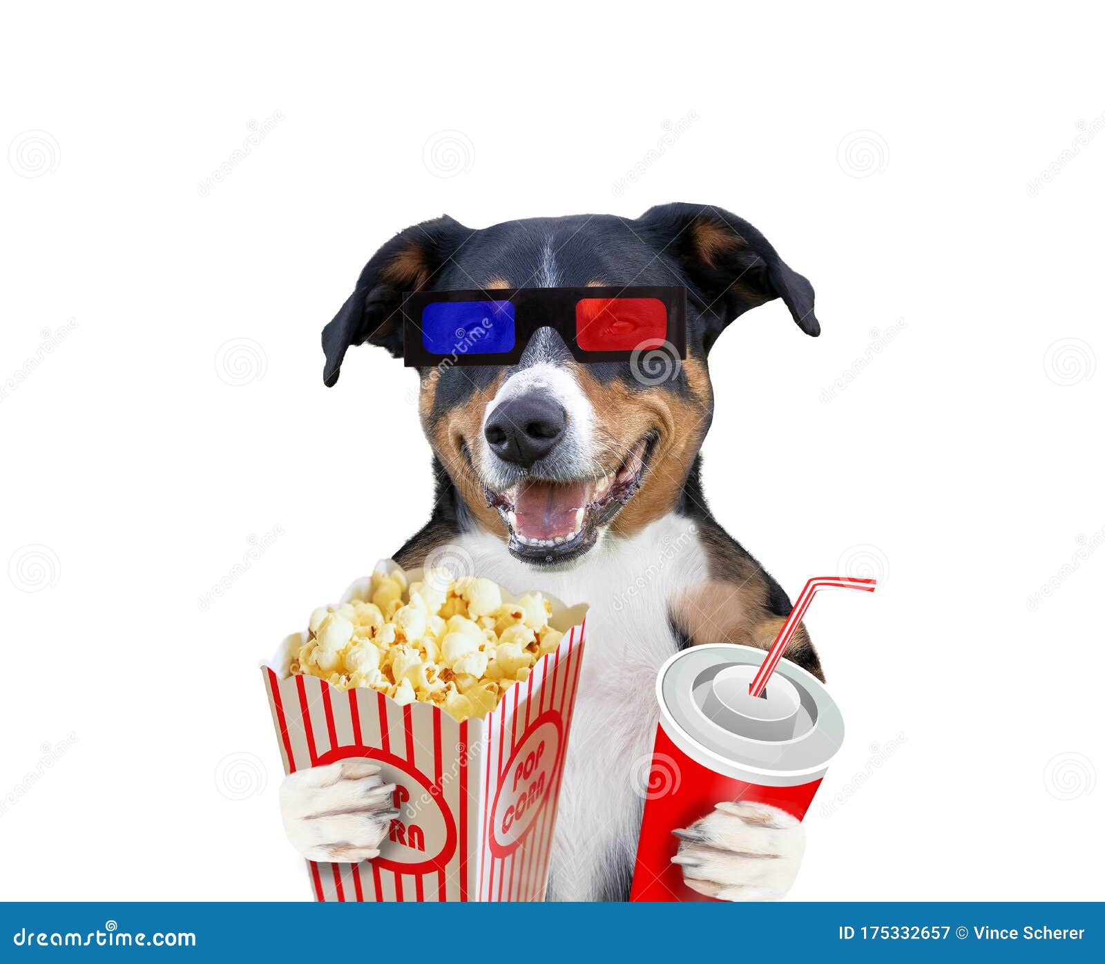 Funny Dog with Popcorn. Isolated on White Background Stock Image