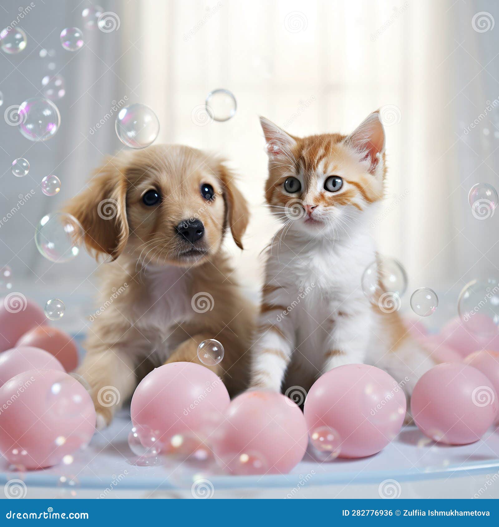 Bubbles Pet Services