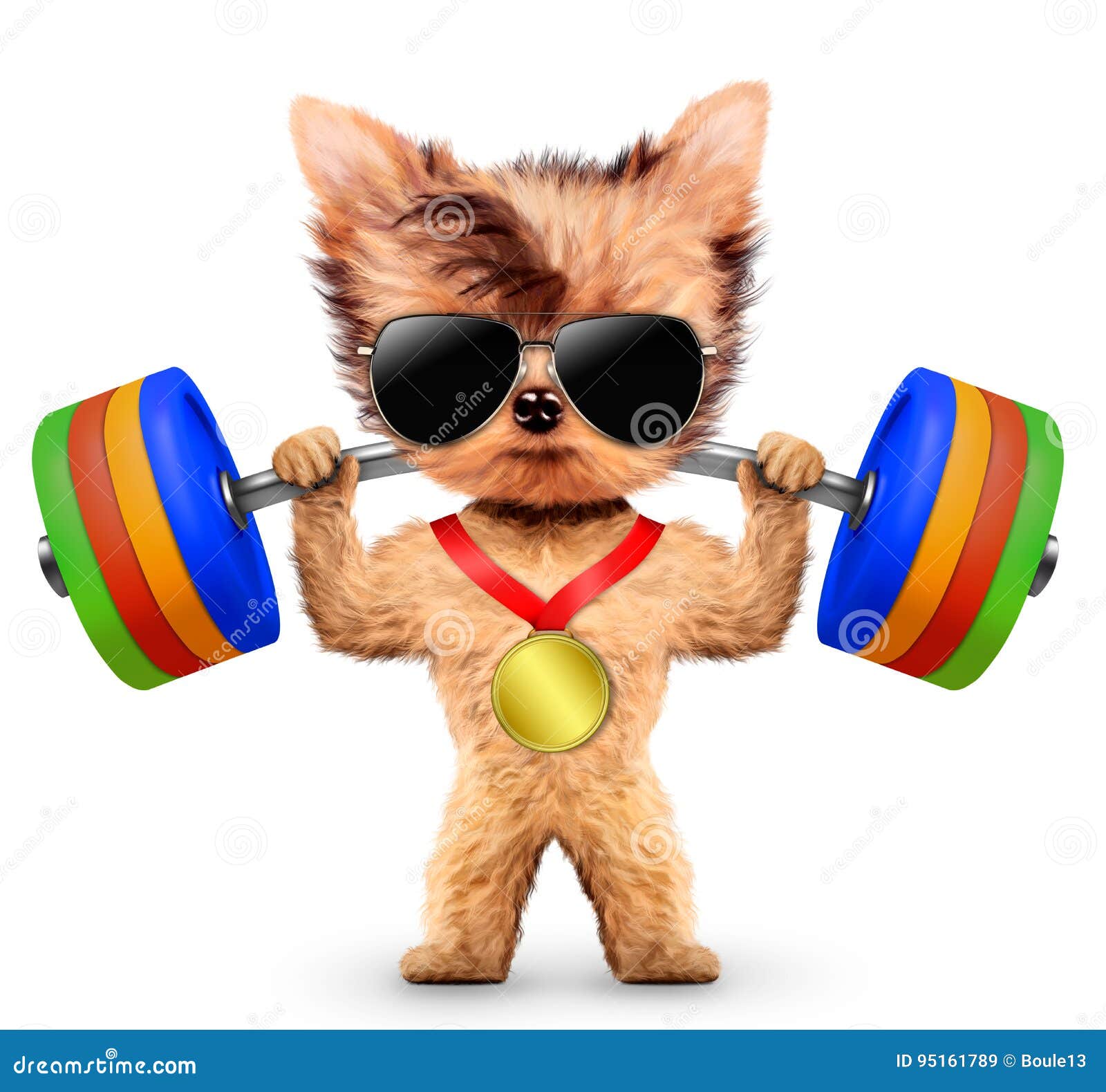 Funny Dog Training With Barbell And Hold Medal Stock Illustration