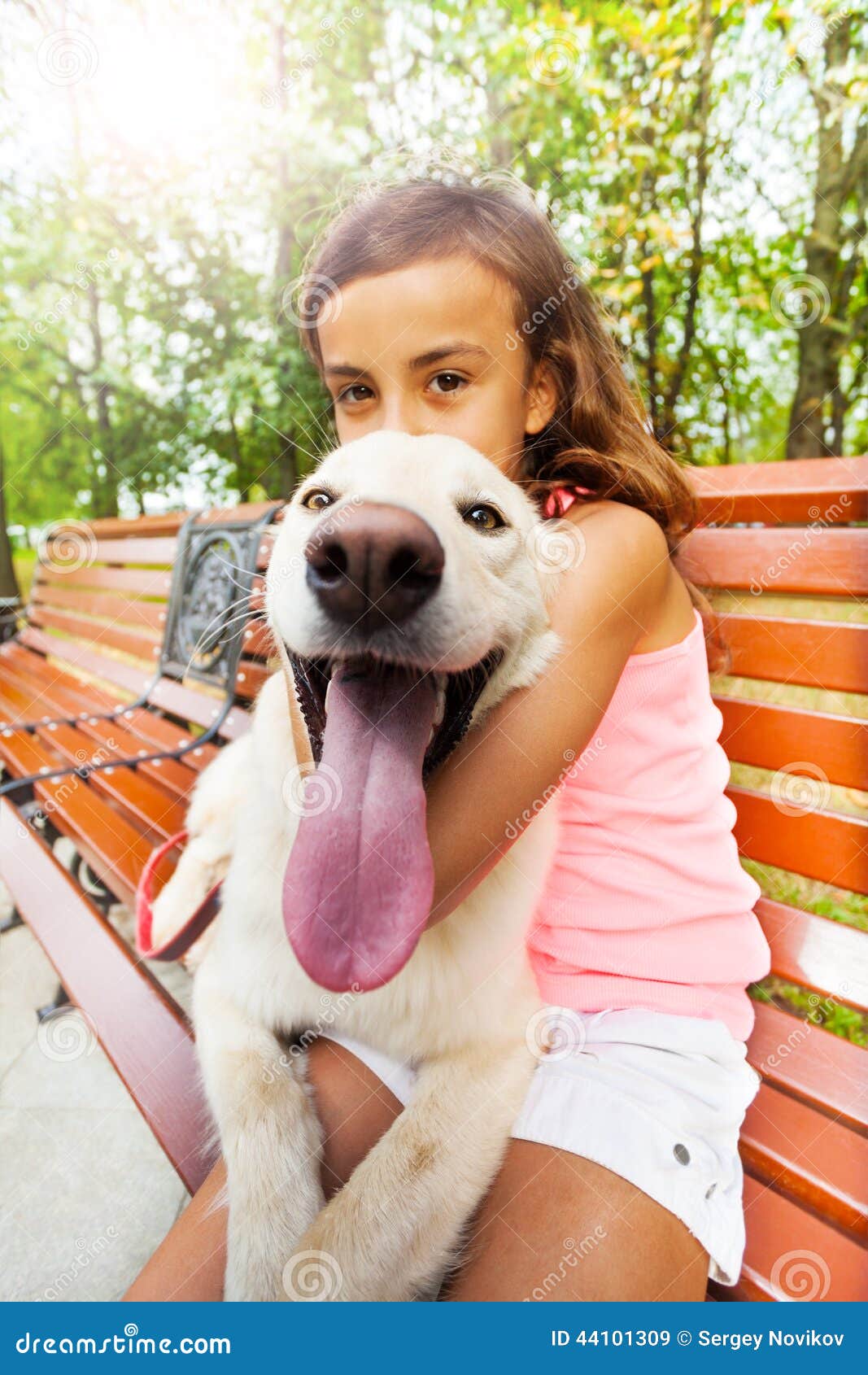 Image Result For Golden Retriever Tongue Image Result For Golden Retriever Tongue