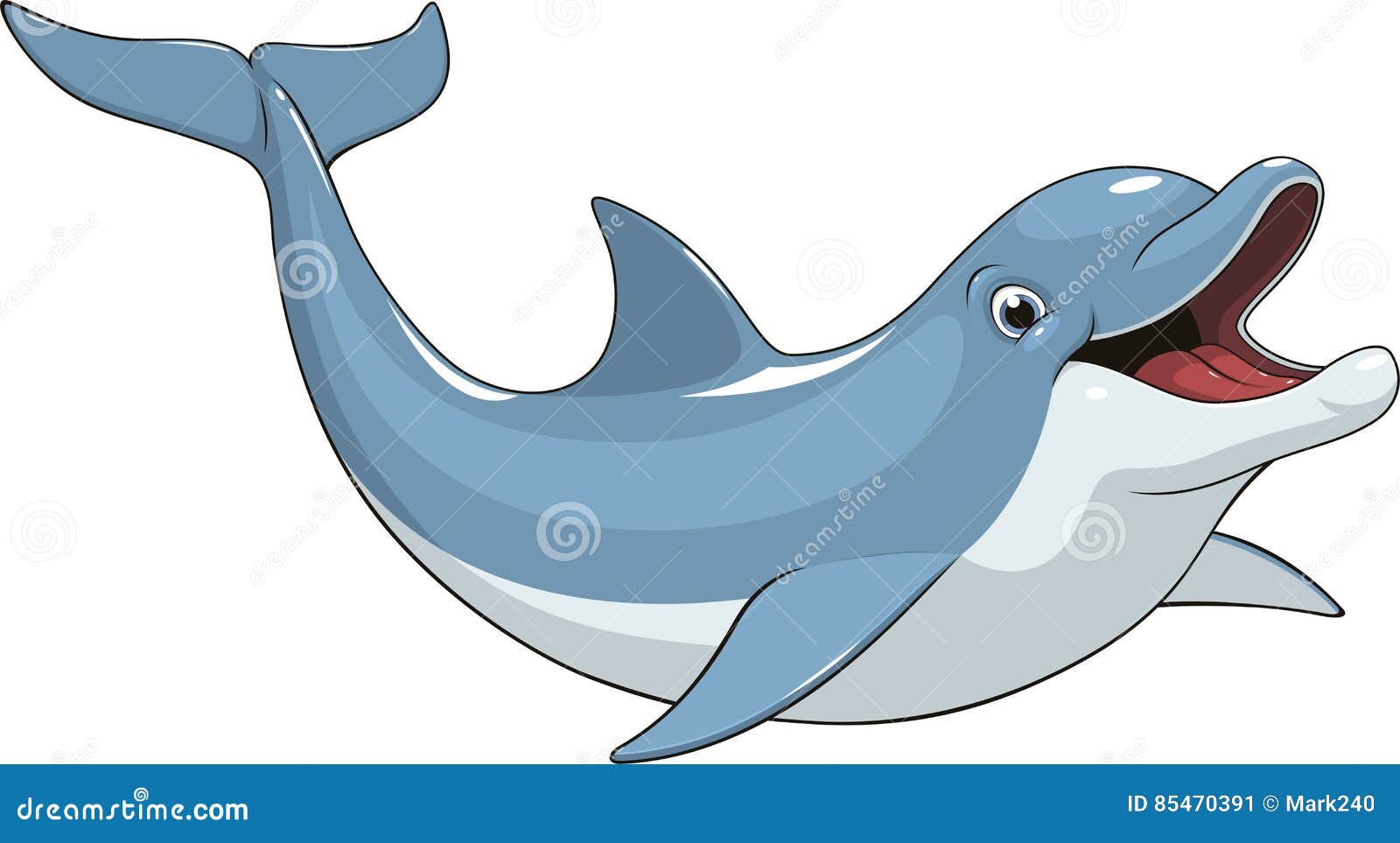 funny dolphin fun