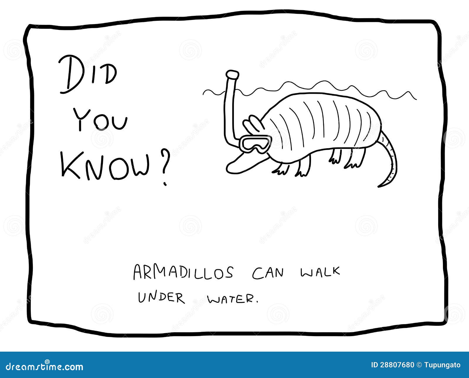 Funny fact stock vector. Illustration of armadillo, strip - 28807680