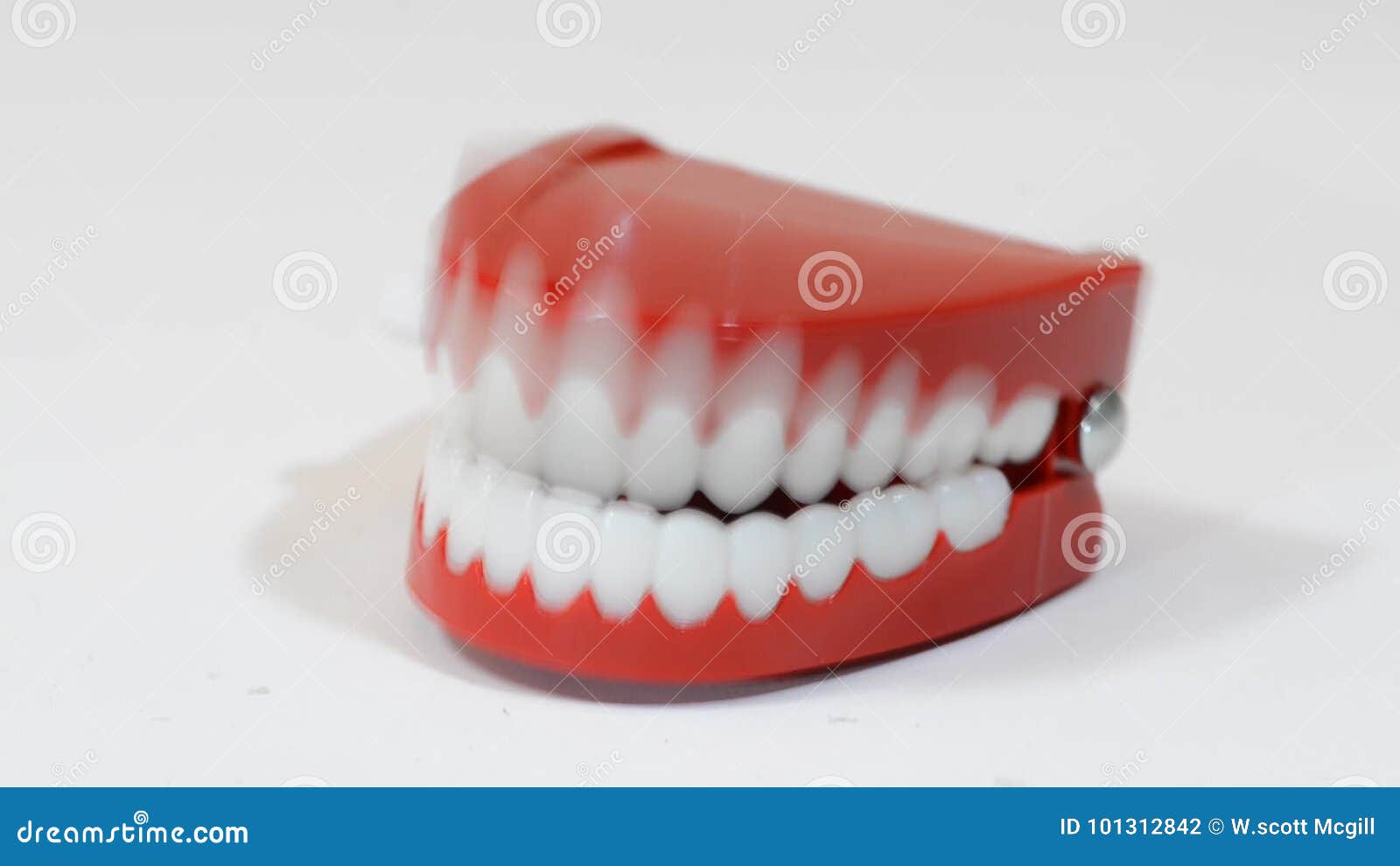 False Teeth Stock Footage & Videos 354 Stock Videos