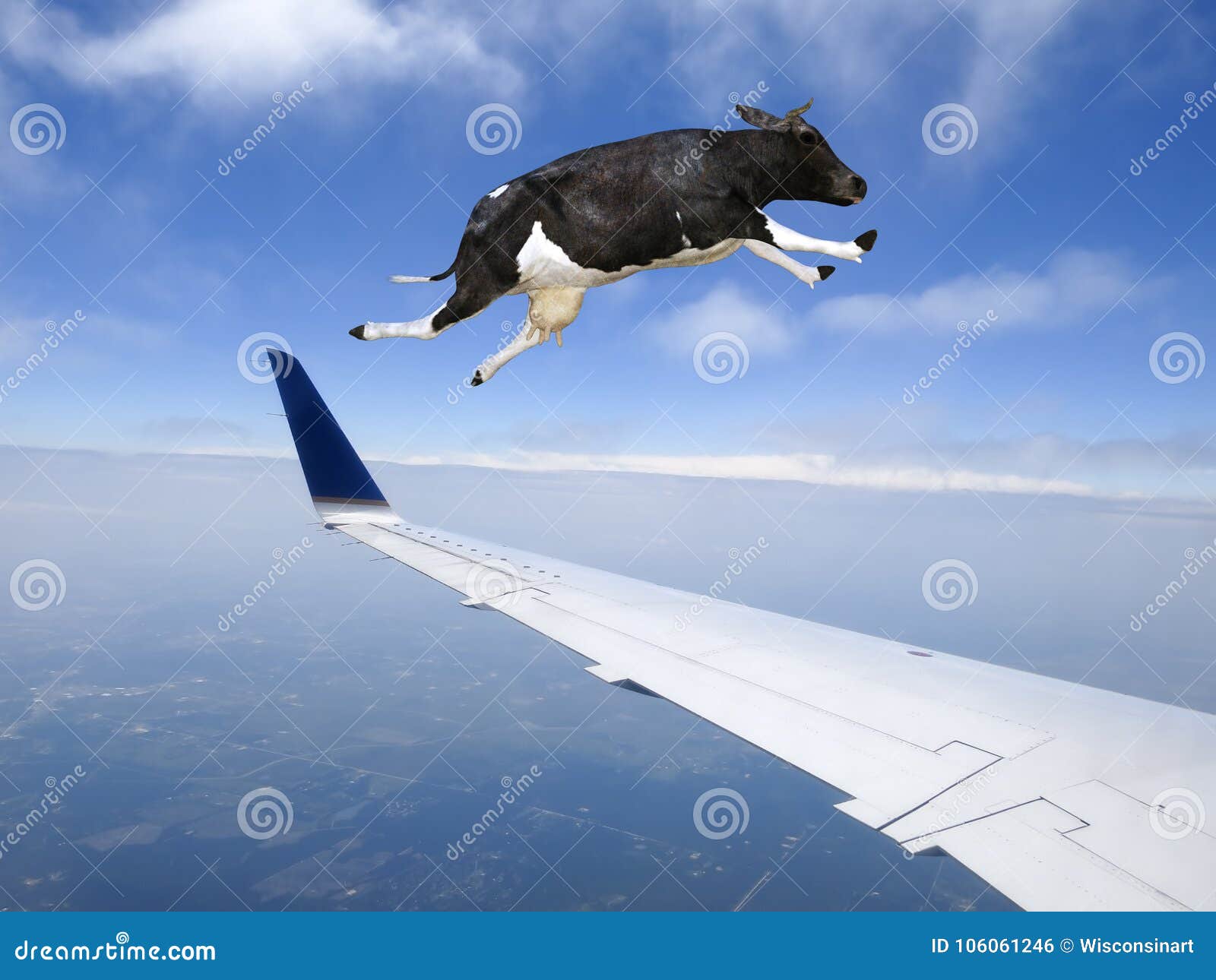 Funny Flying Cow, Plane, Travel Stock Photo - Image of animal, airplane