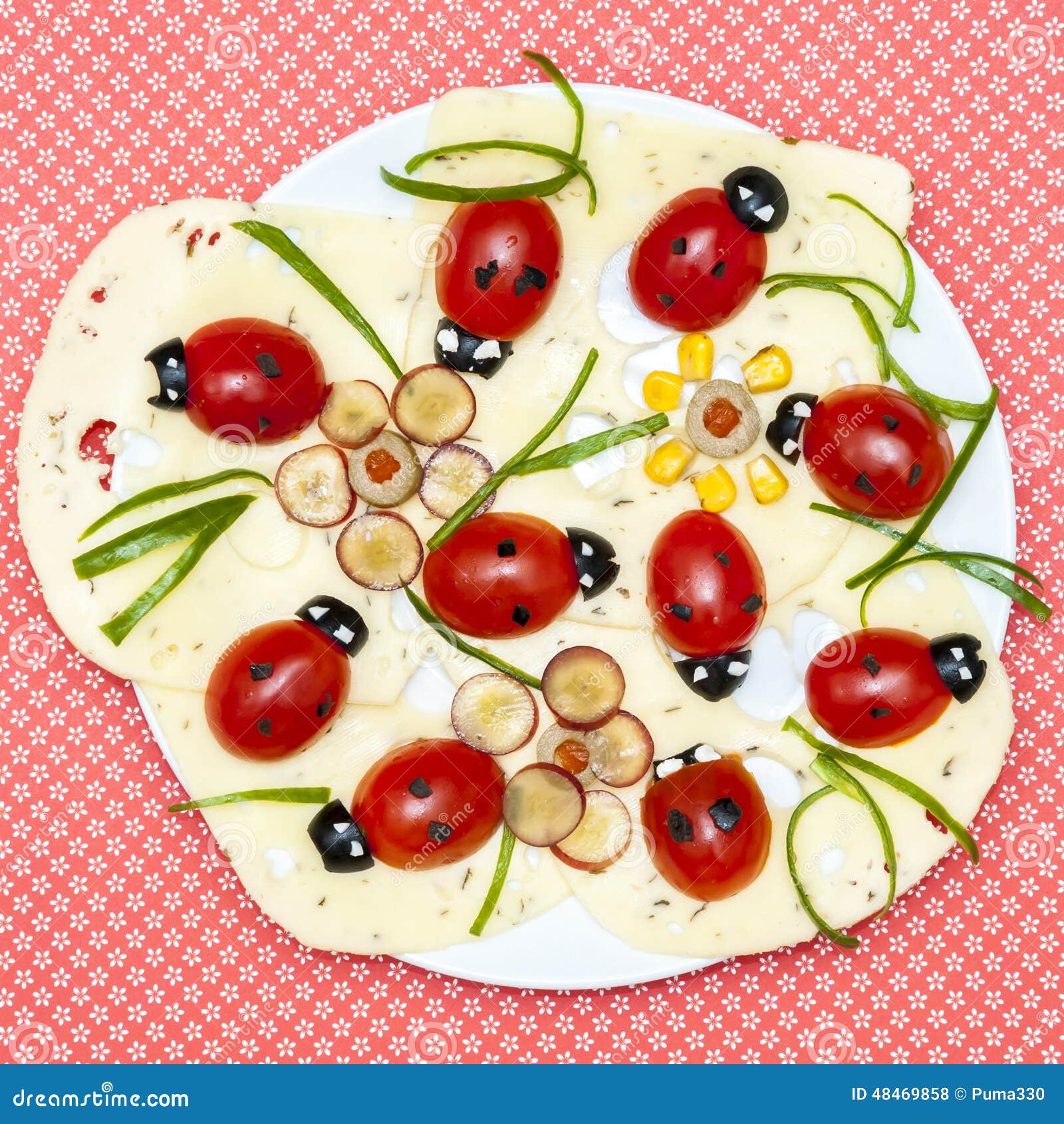 Funny Foodlady Bug Appetizer Plate Stock Photo Image of plate, appetizer 48469858