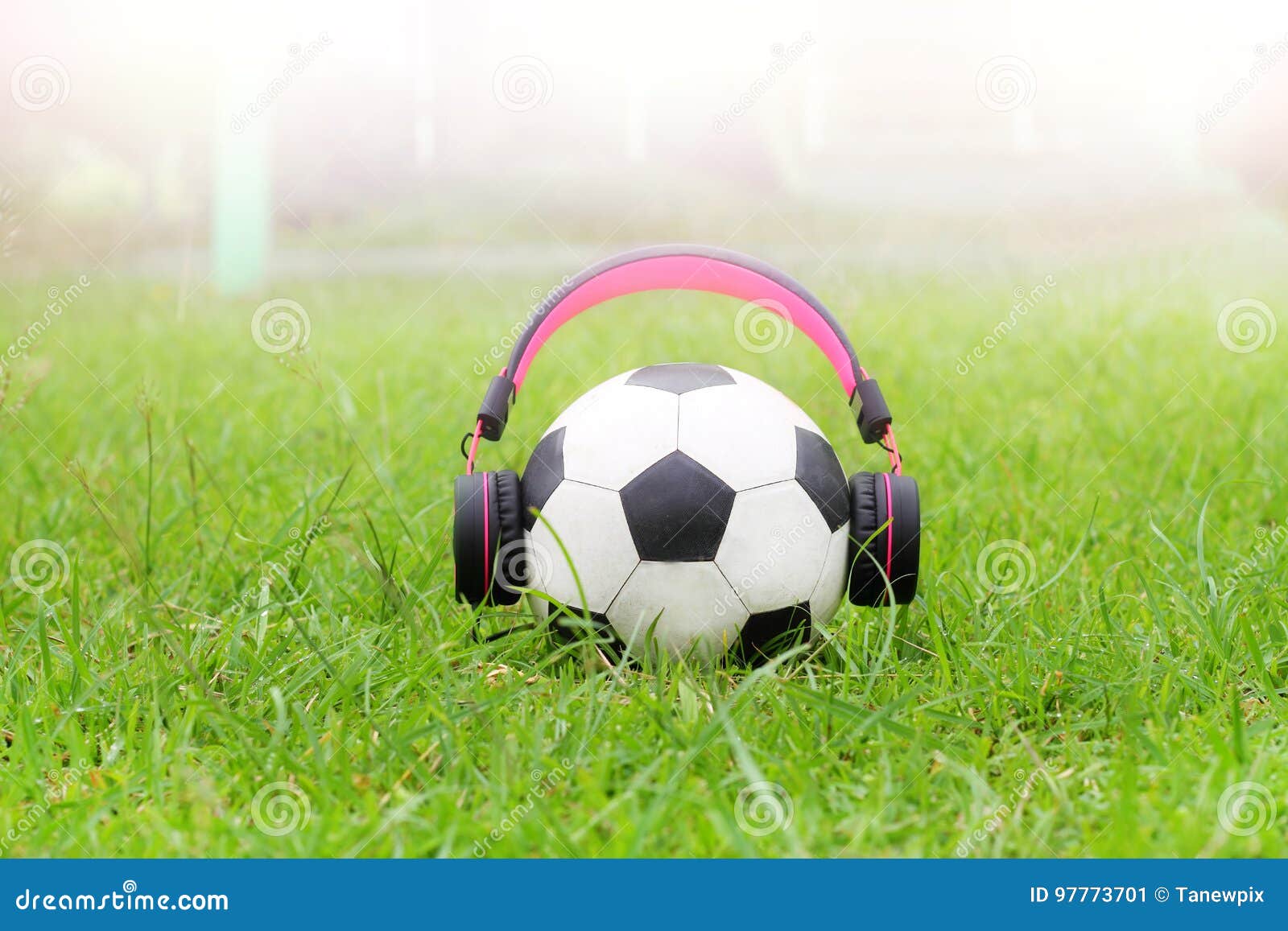 Funny Football Music on Green Grass and Light Background Stock Image -  Image of instrument, festival: 97773701