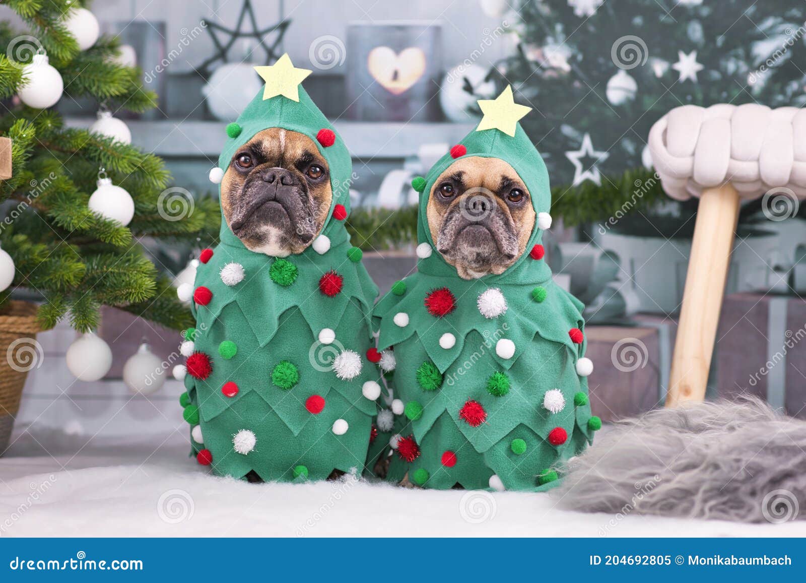 67,059 Funny Christmas Tree Stock Photos - Free & Royalty-Free Stock Photos from Dreamstime 67,059 Funny Christmas Tree Stock Photos - Free & Royalty-Free Stock Photos from Dreamstime