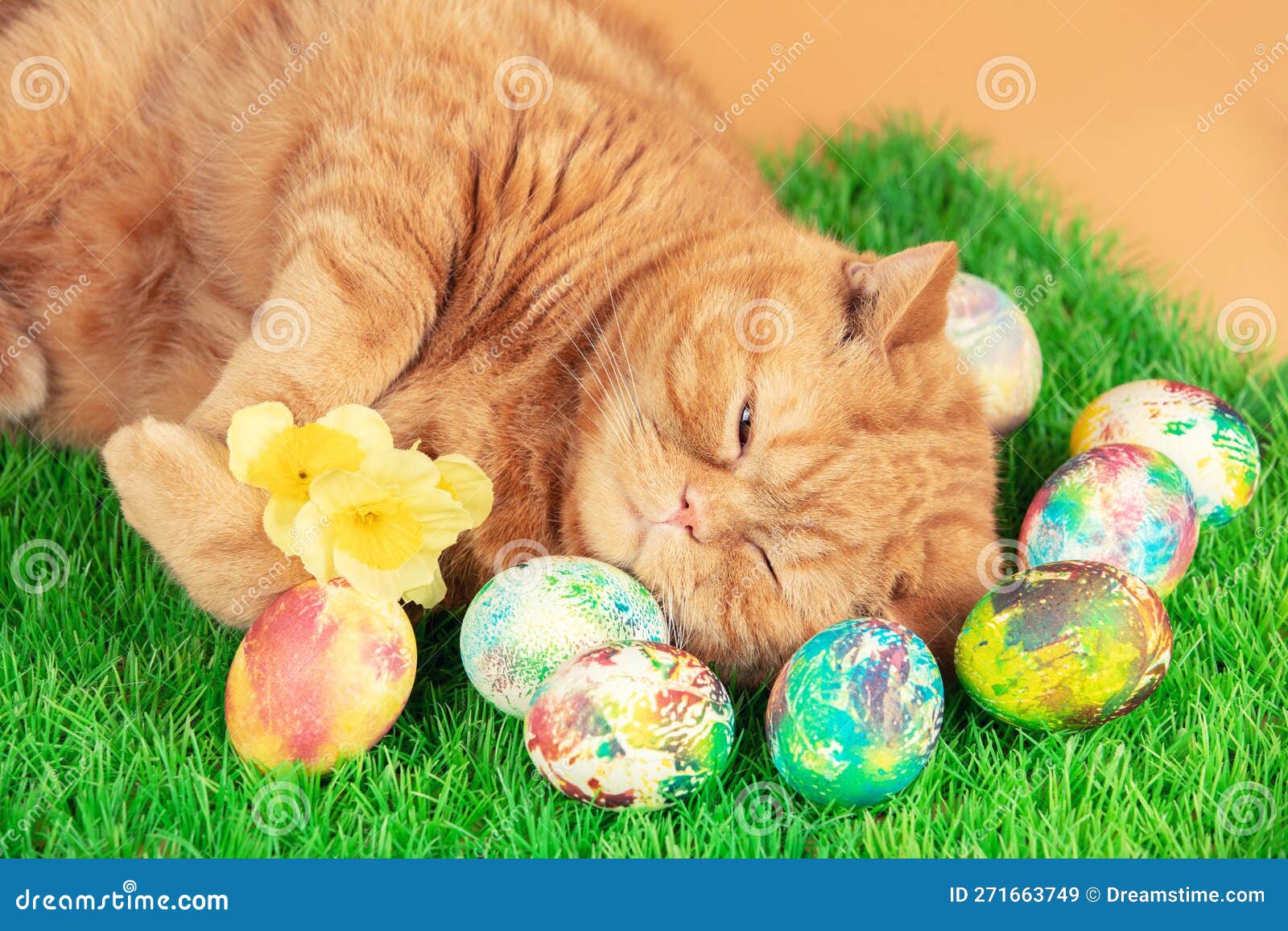 ?at Sleeping on Artificial Turf Near Colored Easter Eggs Stock Image