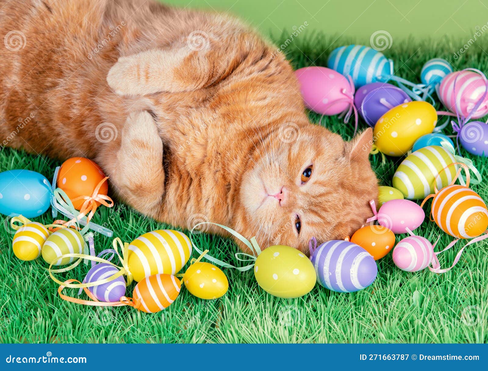 Cat Sleeping on Artificial Turf Near Colored Easter Eggs Stock Image