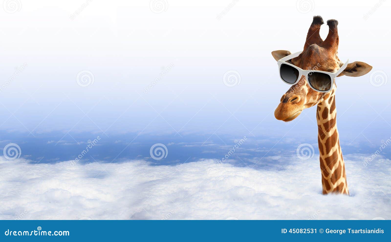 funny giraffe with sunglasses
