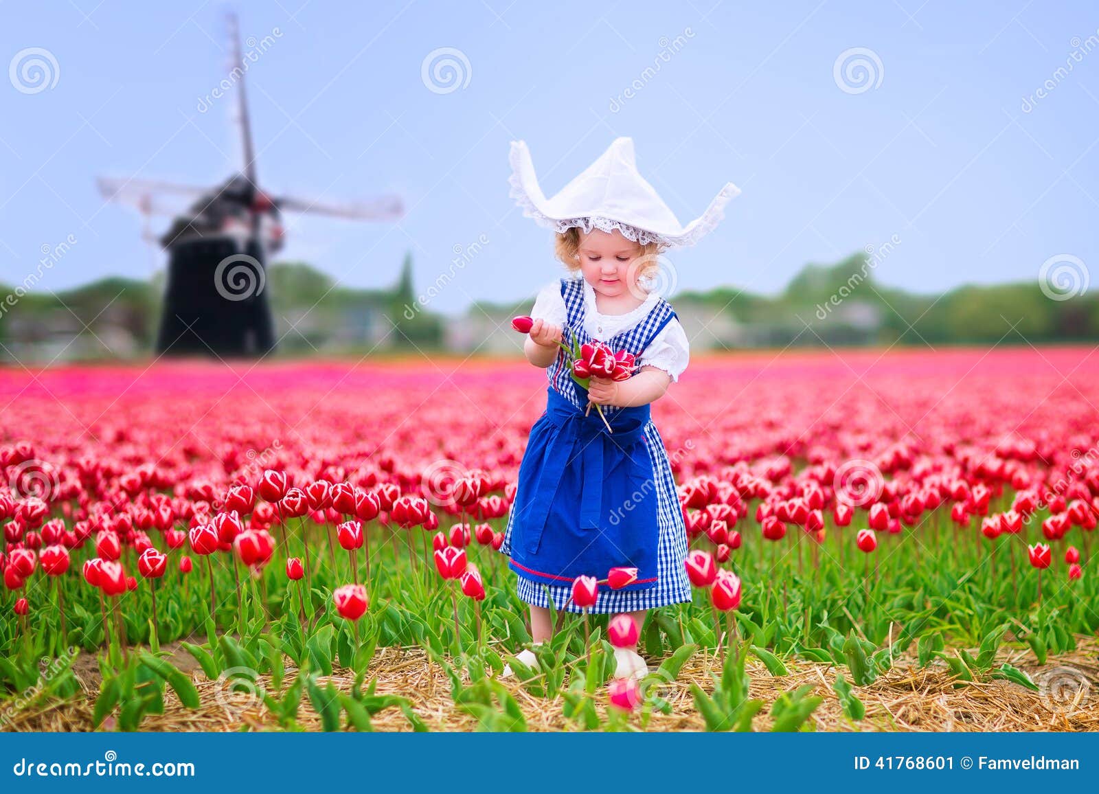 11472207 Costume Holland Flower Field Trachten Holland 