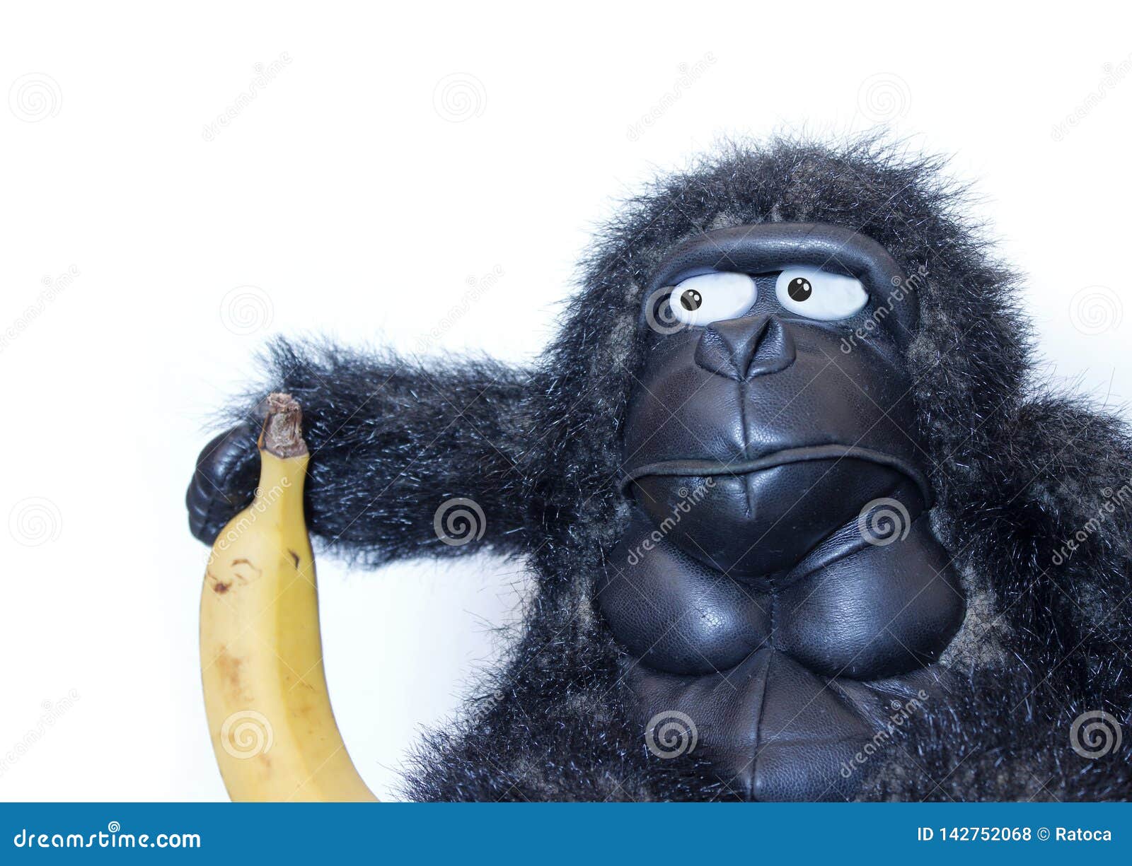 Funny gorilla with banana stock photo. Image of creative 142752068