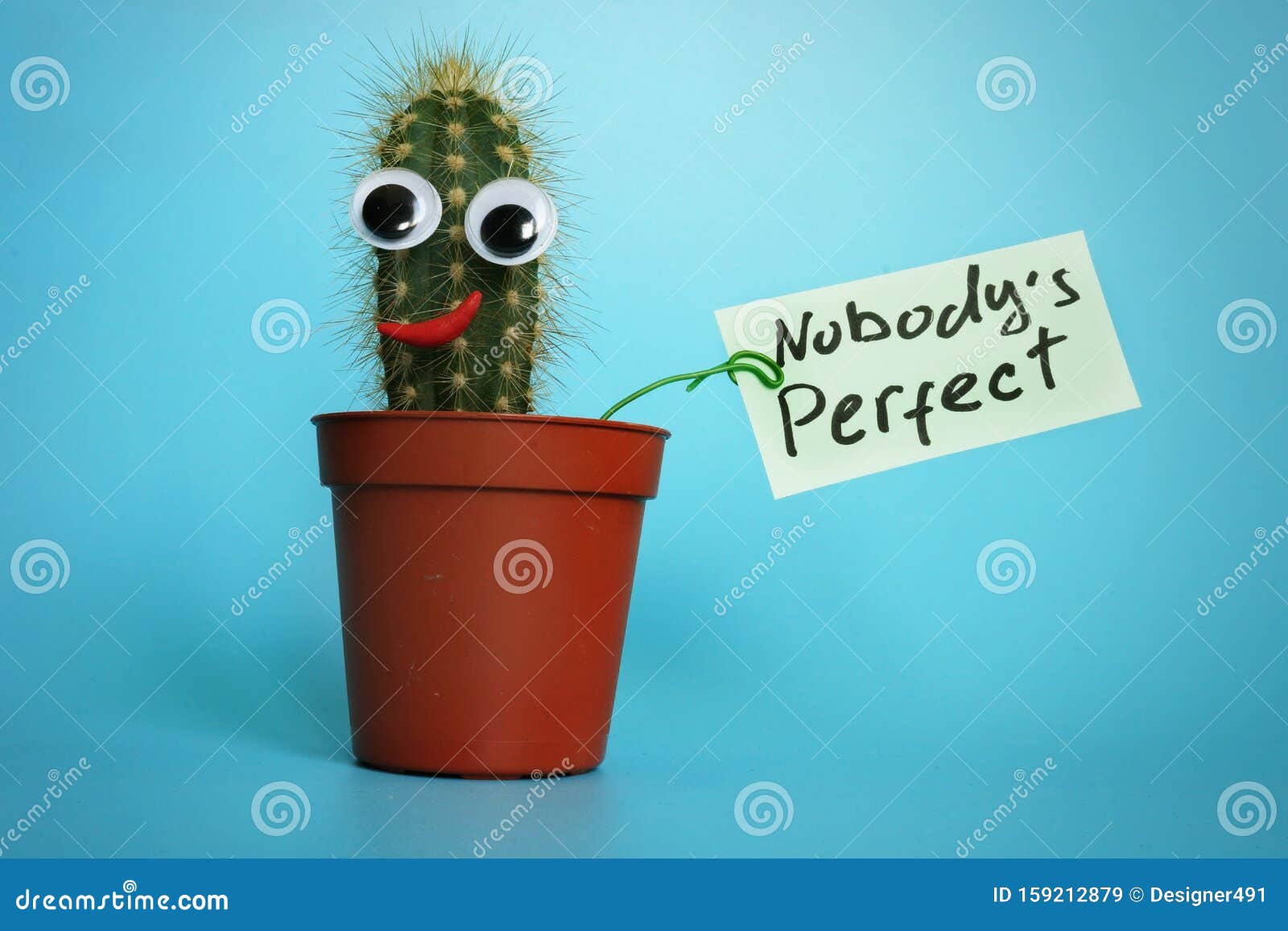 funny cactus with sign nobody is perfect