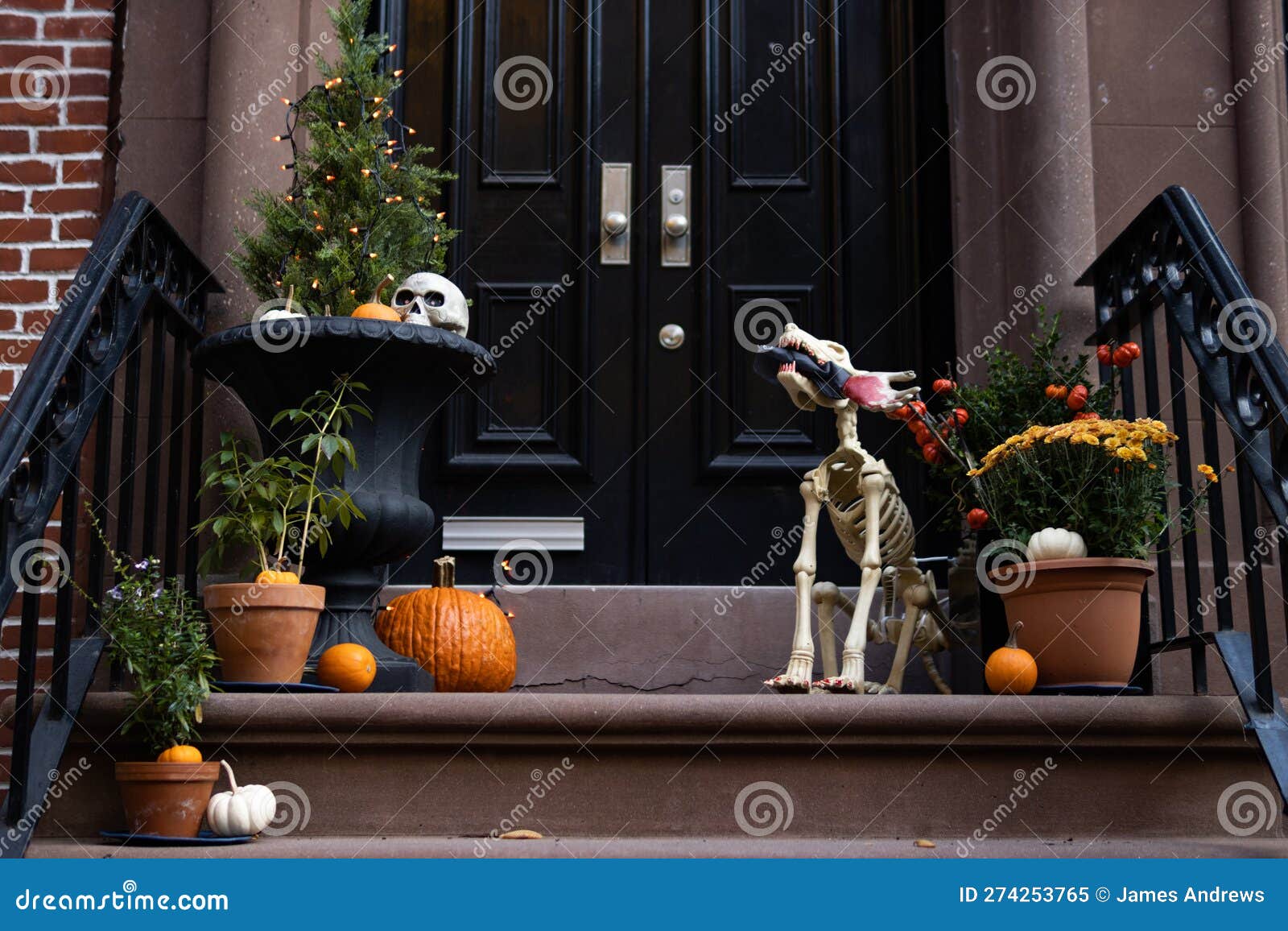 Halloween Decorations and Pumpkins on Entrance Stairs To a ...
