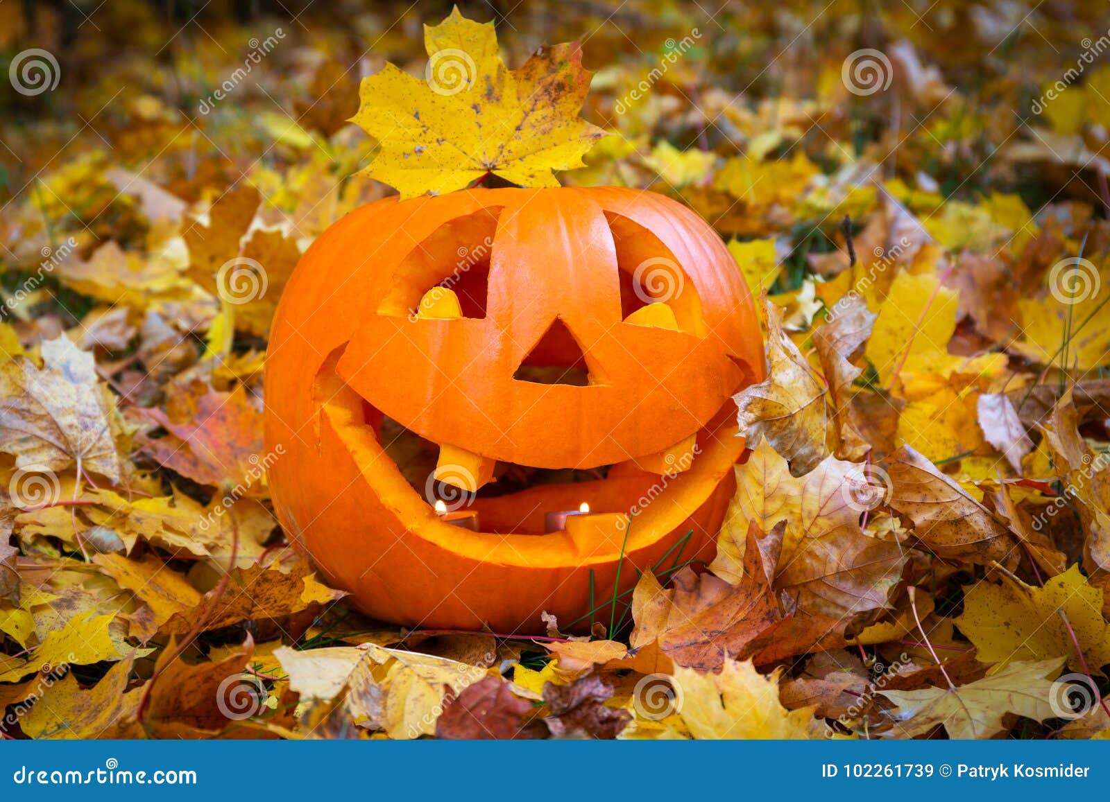 Funny halloween pumpkin stock image. Image of festive - 102261739