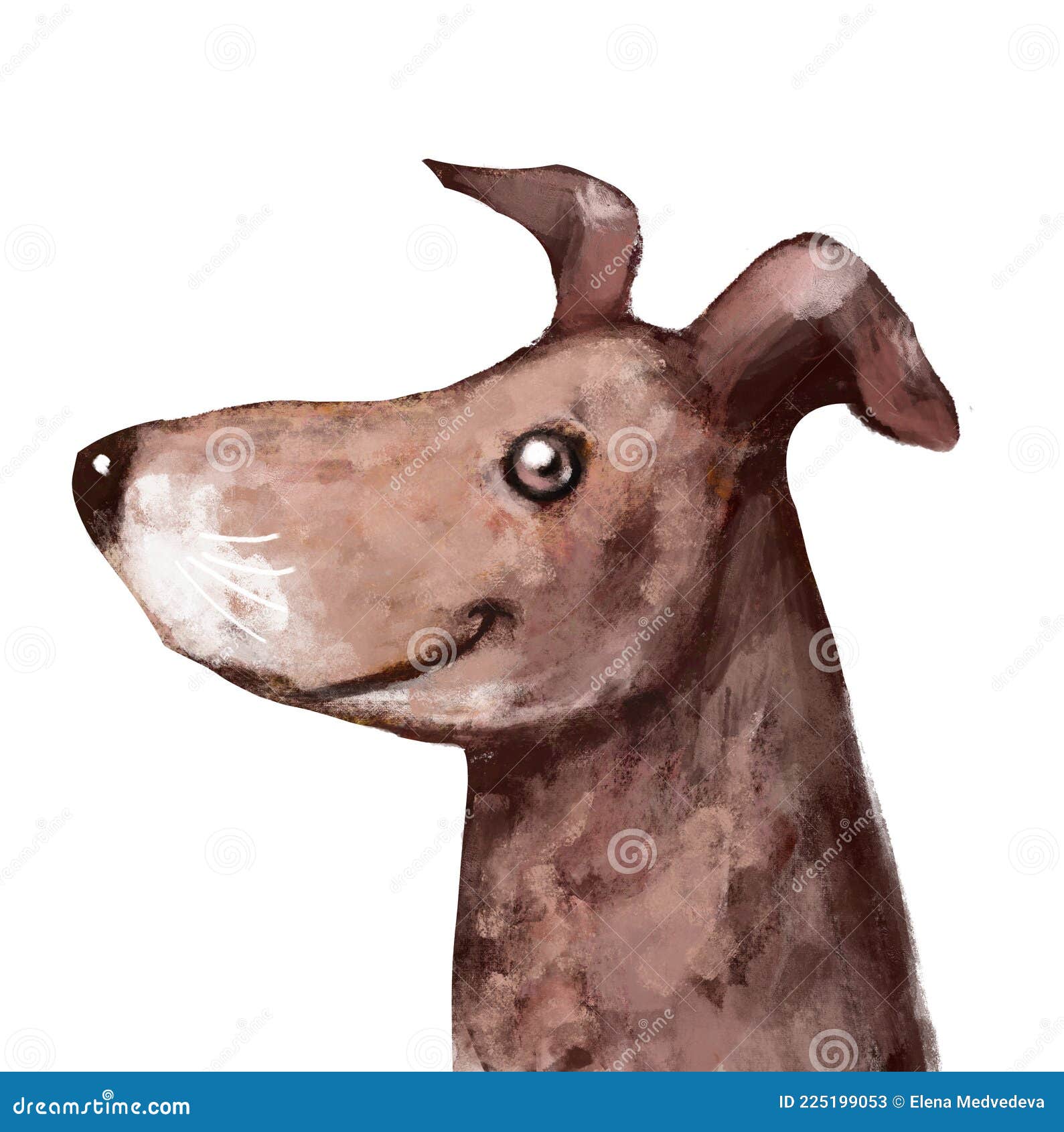 cute funny dog (profile picture)