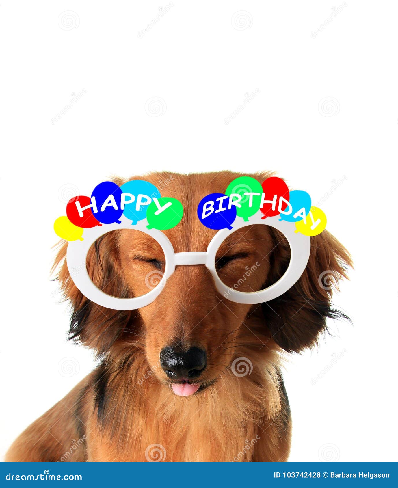 62,603 Happy Birthday Funny Stock Photos - Free & Royalty-Free Stock Photos from Dreamstime 62,603 Happy Birthday Funny Stock Photos - Free & Royalty-Free Stock Photos from Dreamstime