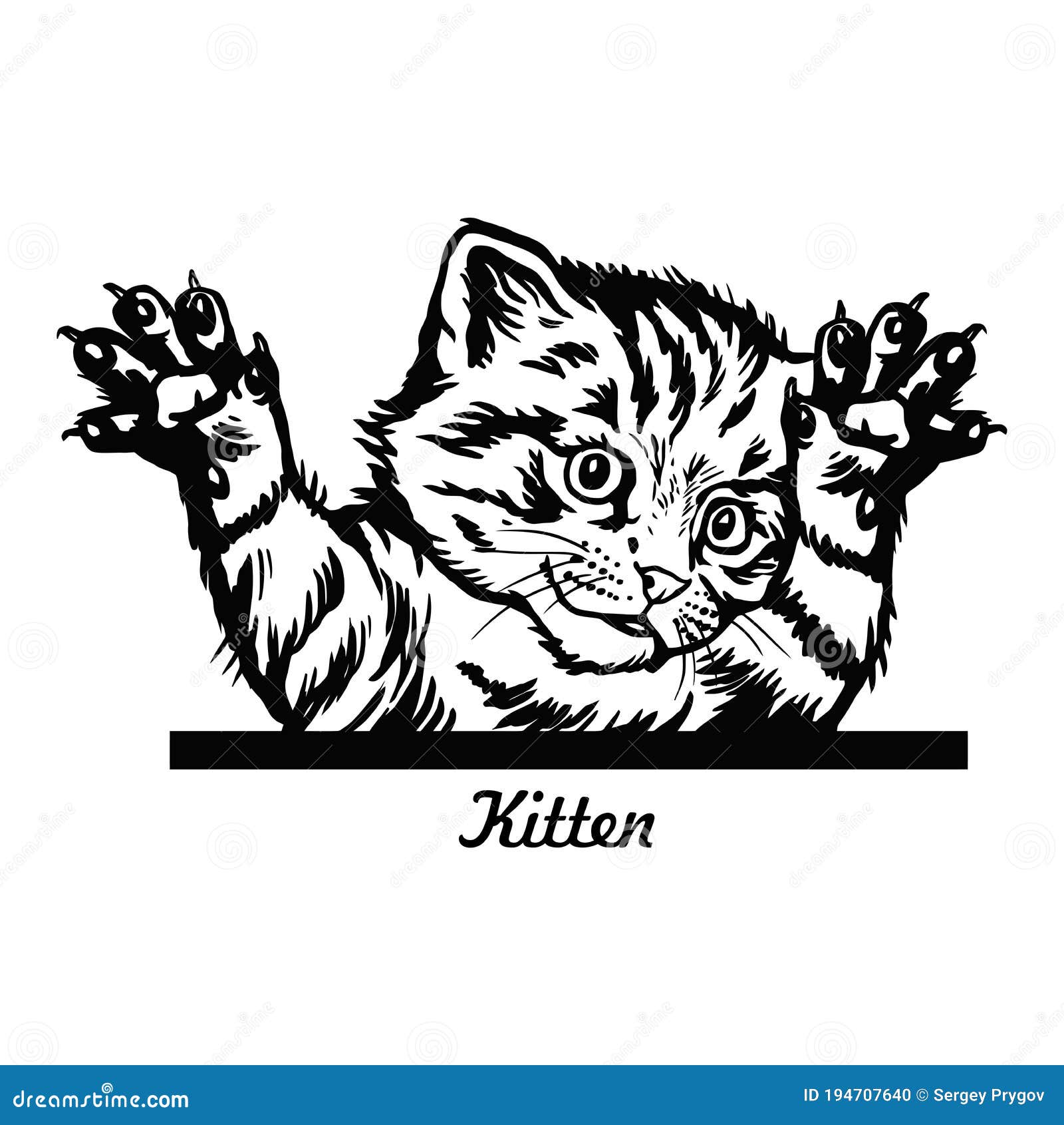 funny kitten jumps out - peeking kitty - cat head  on white