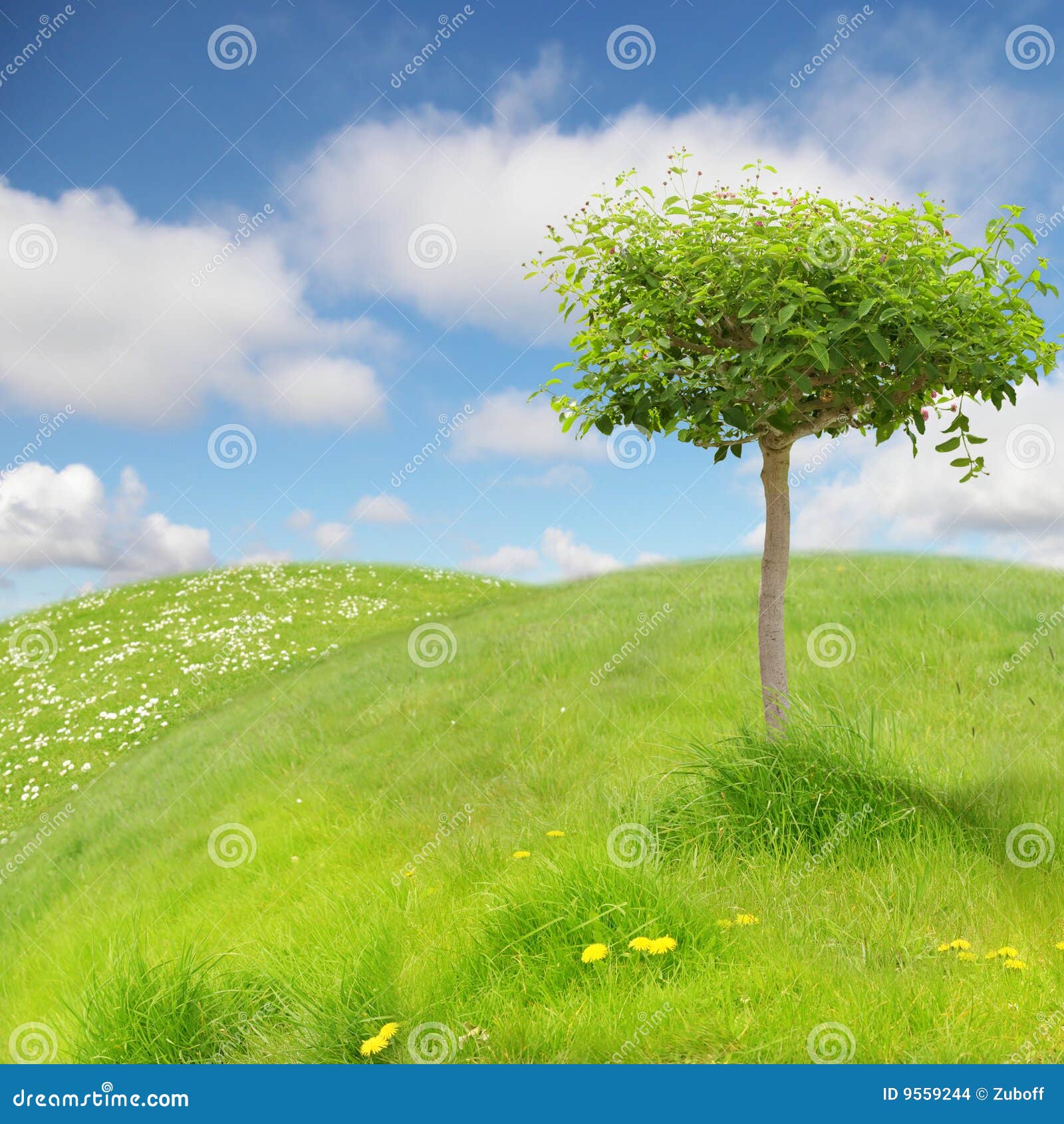 Funny Landscape Stock Images - Image: 9559244