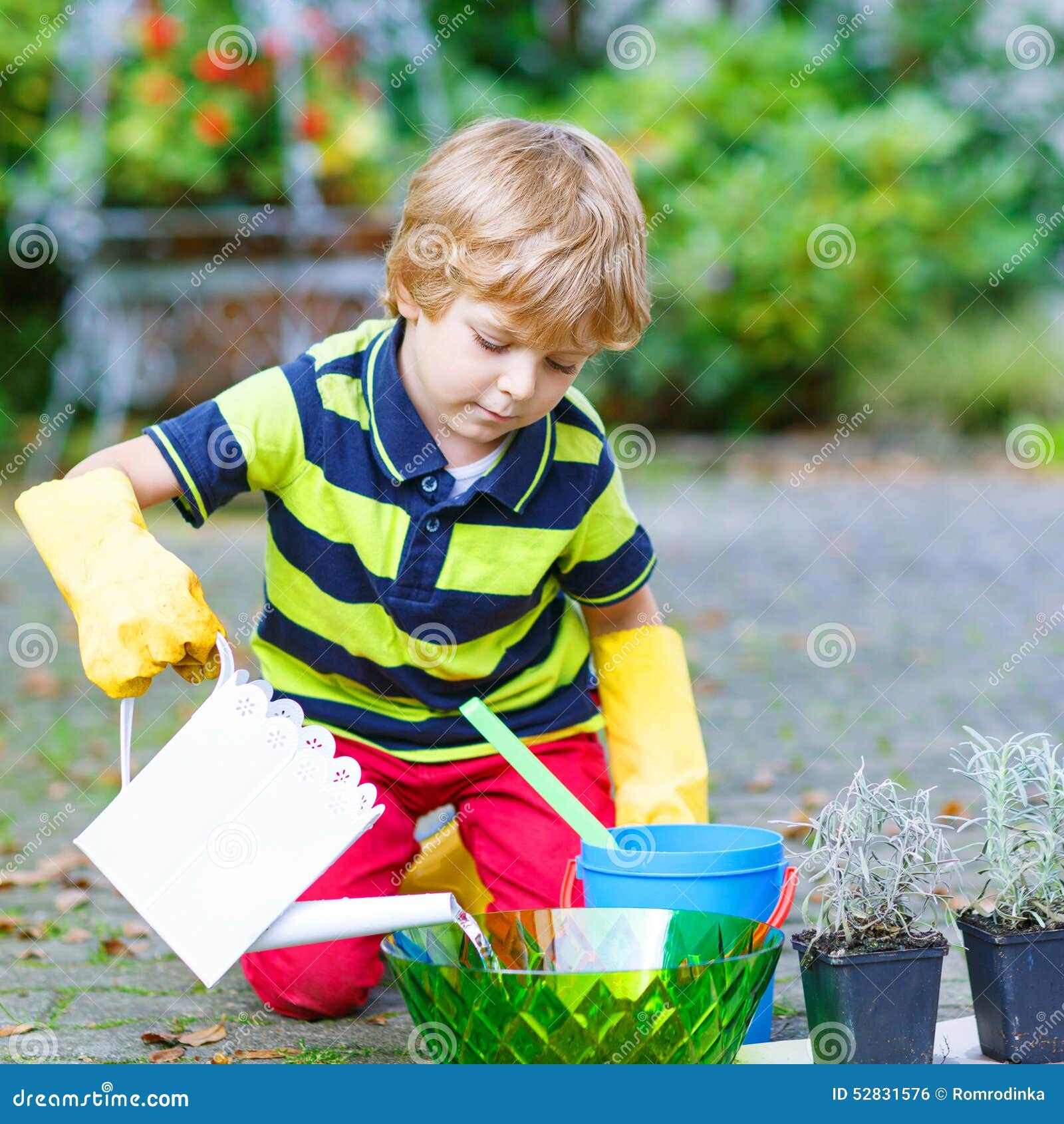 Funny Little Boy Planting Flowers in Home S Garden Stock Photo - Image ...